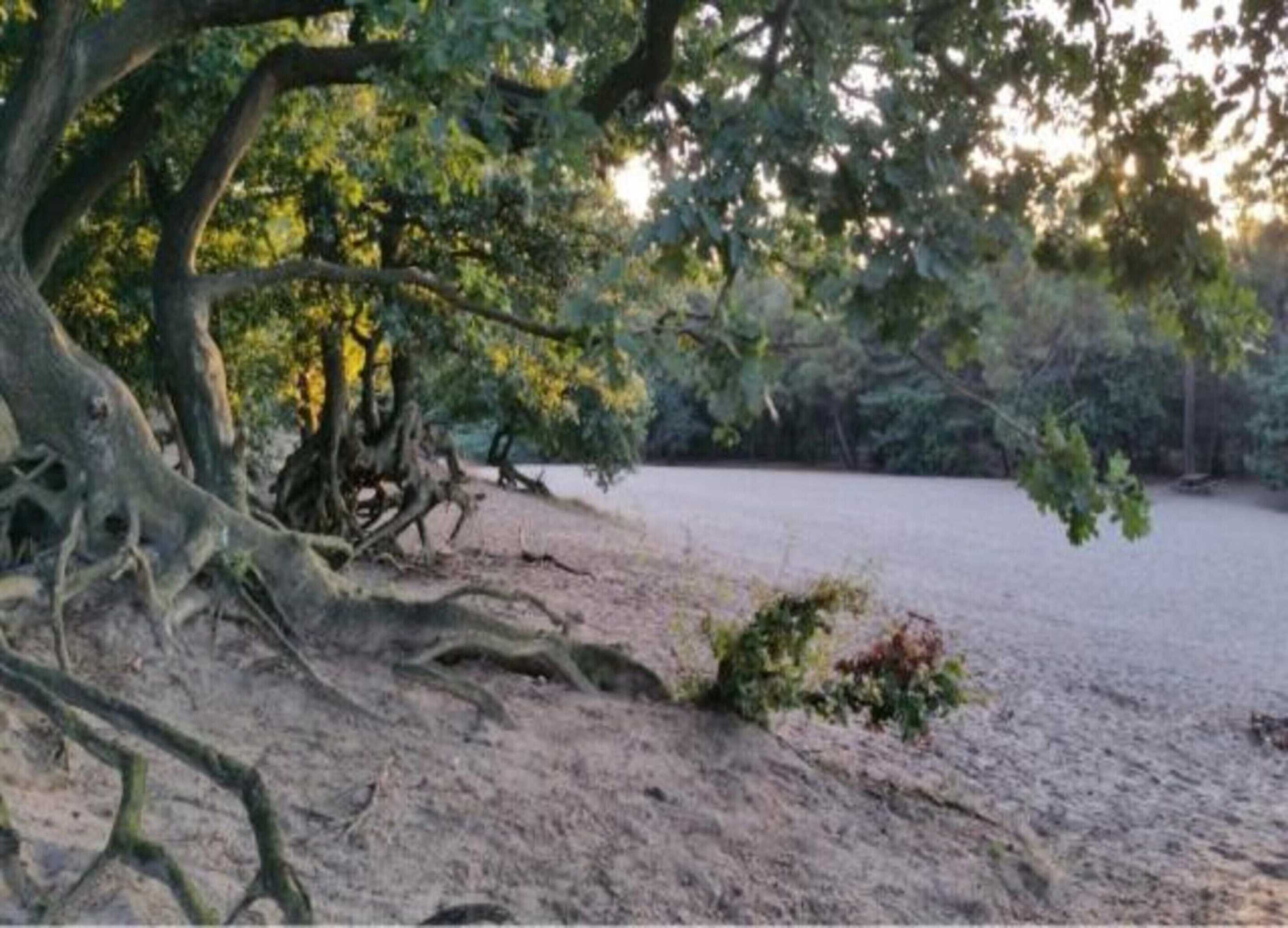 Gift card for Villa in Sandberghe With Sauna And Comfort