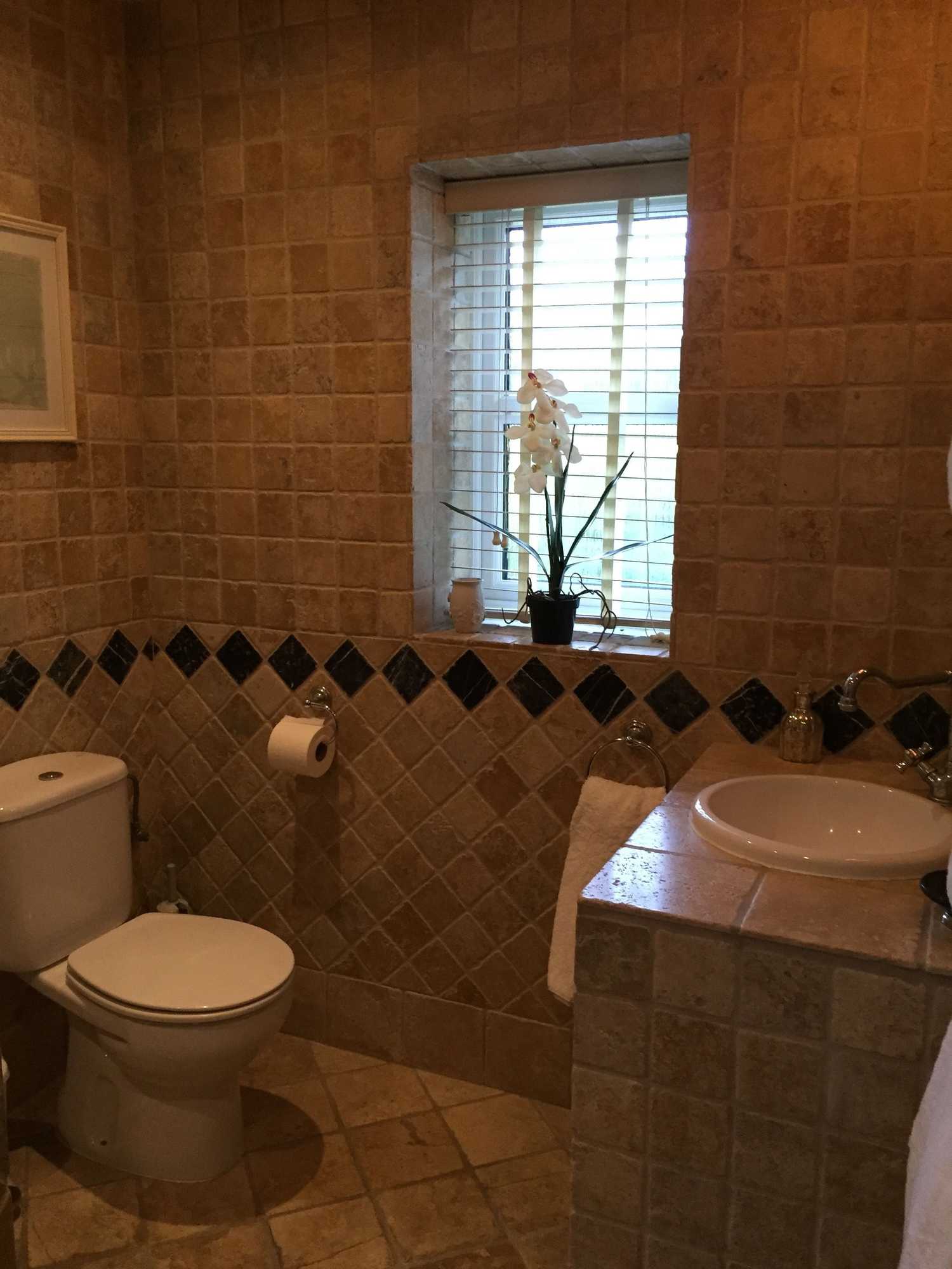 Gift card for The Apple Shed