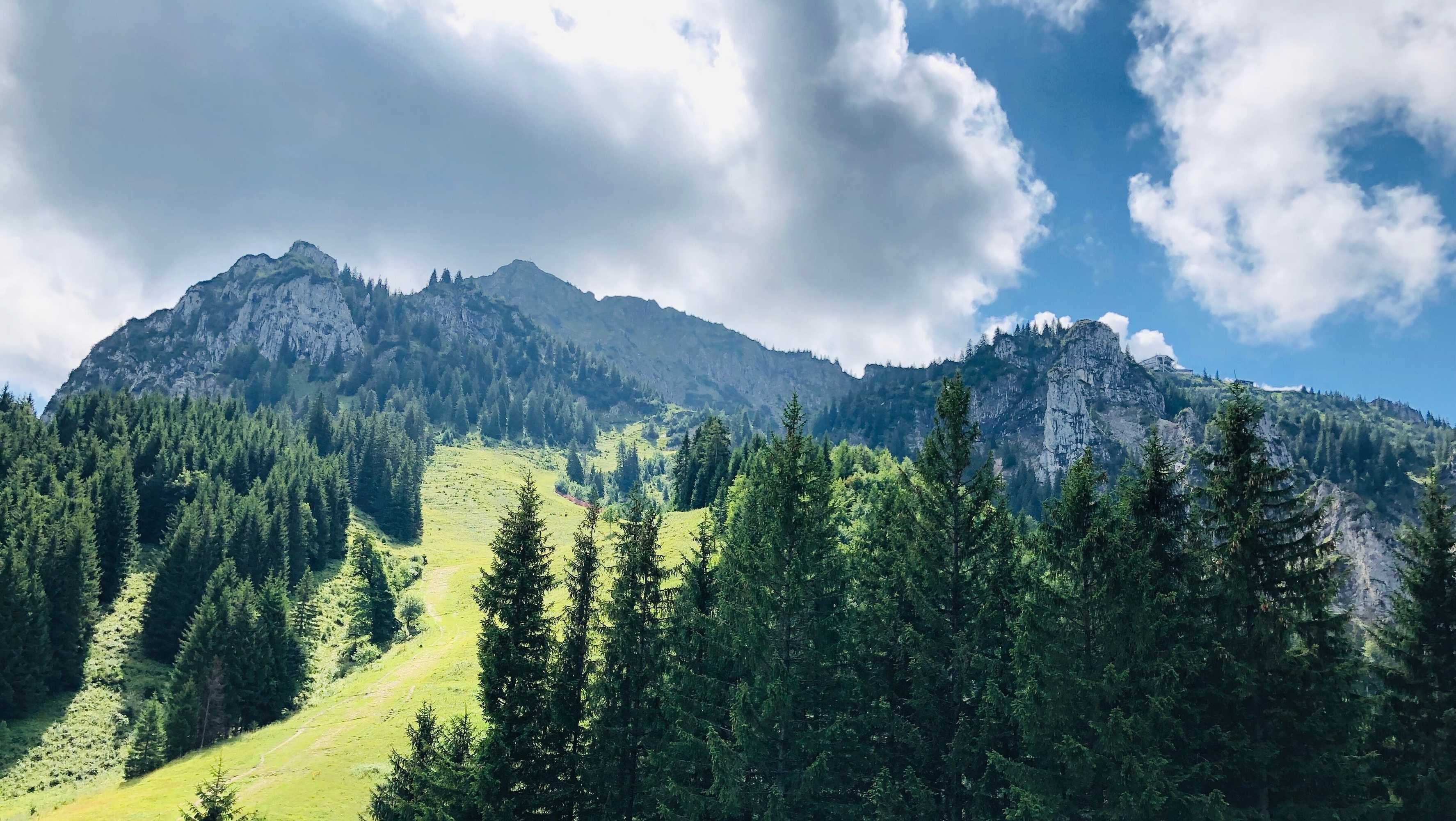 Gift card for Landgasthof Hotel Schöntag & Steak House