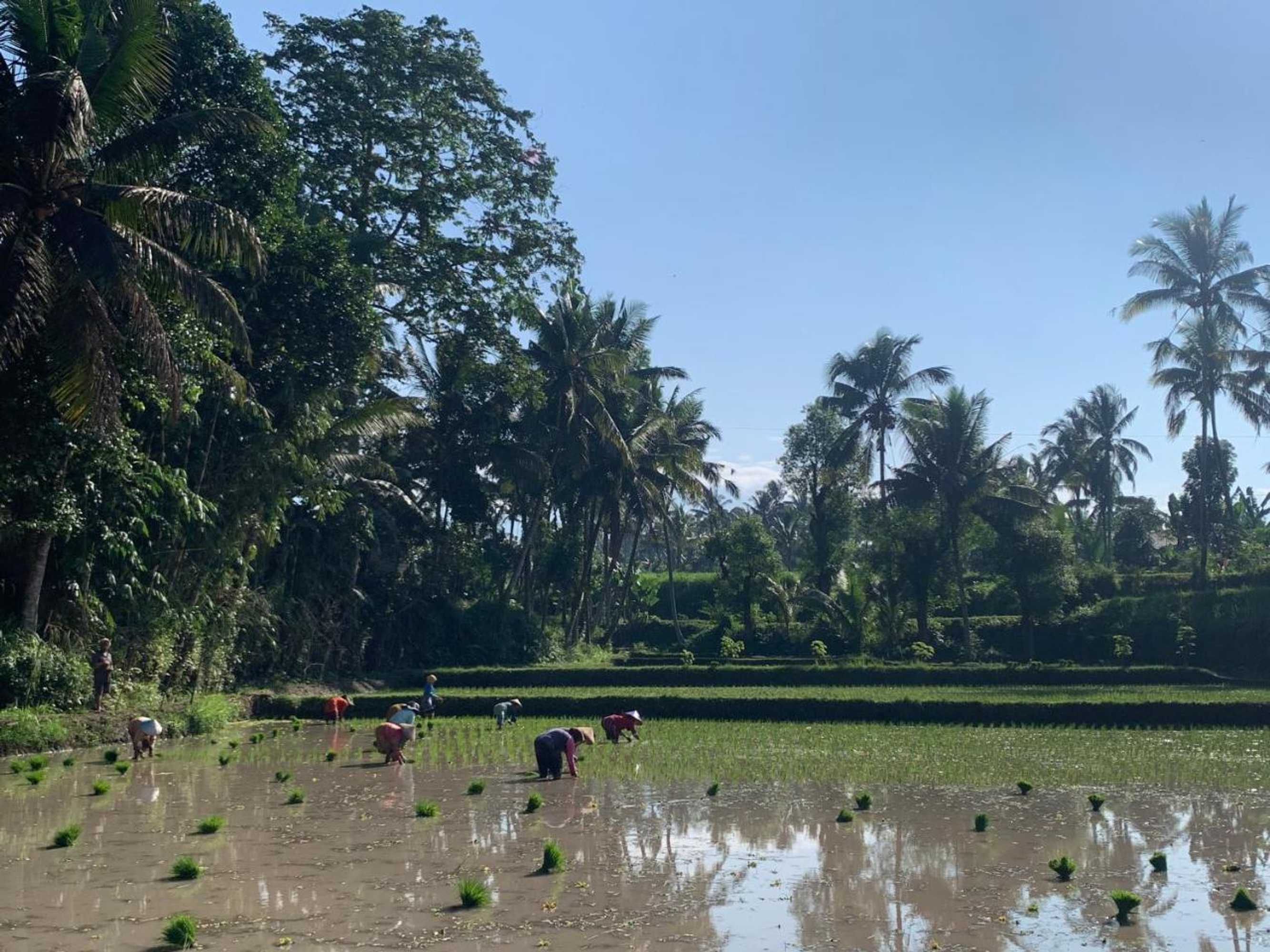 Gift card for Farmer Homestay