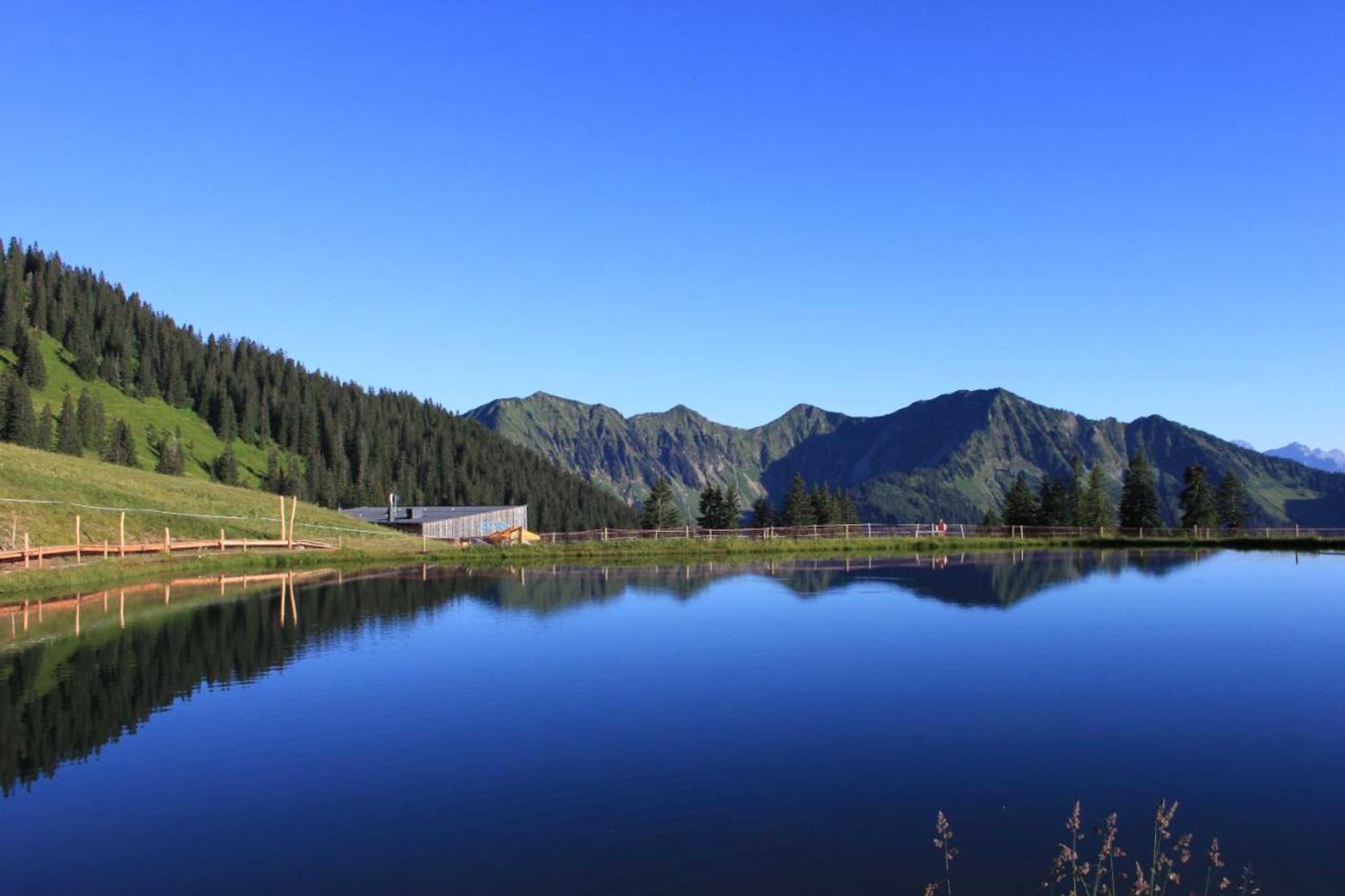 Gift card for Haus Matt