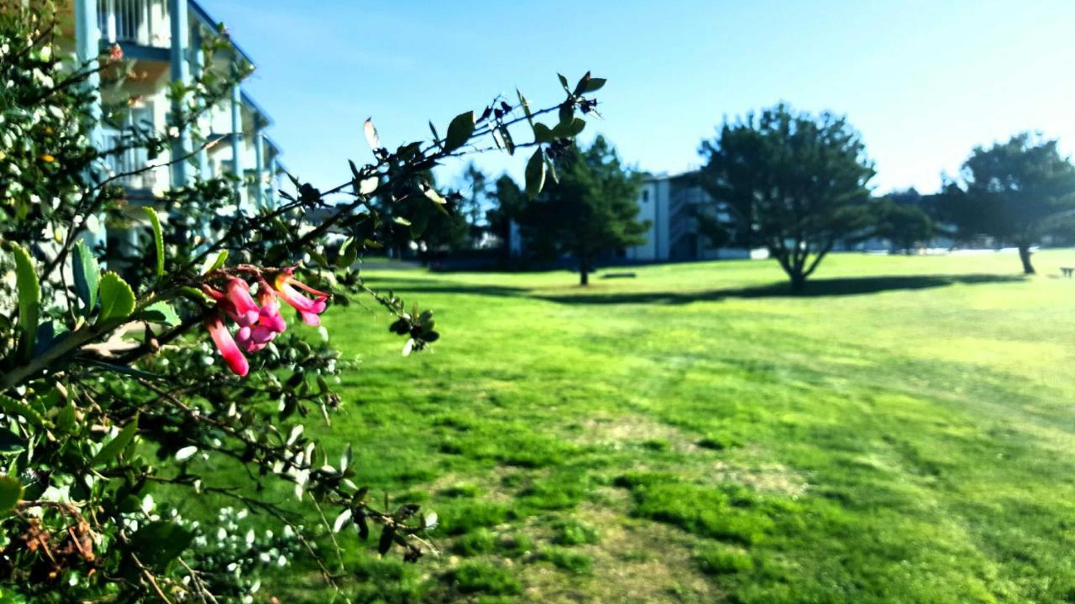 Gift card for The Breakers Long Beach Gift card for The Breakers Long Beach