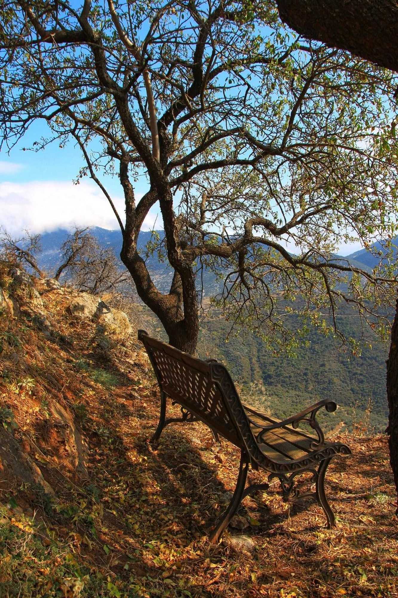 Gift card for Almond House Suites Arachova - Adults Only Gift card for Almond House Suites Arachova - Adults Only