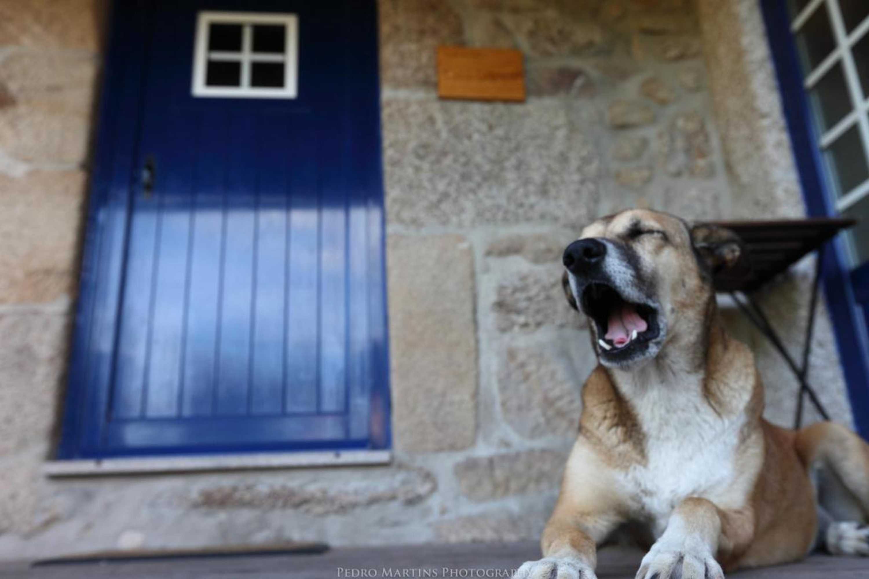 Gift card for Casas do Pastor