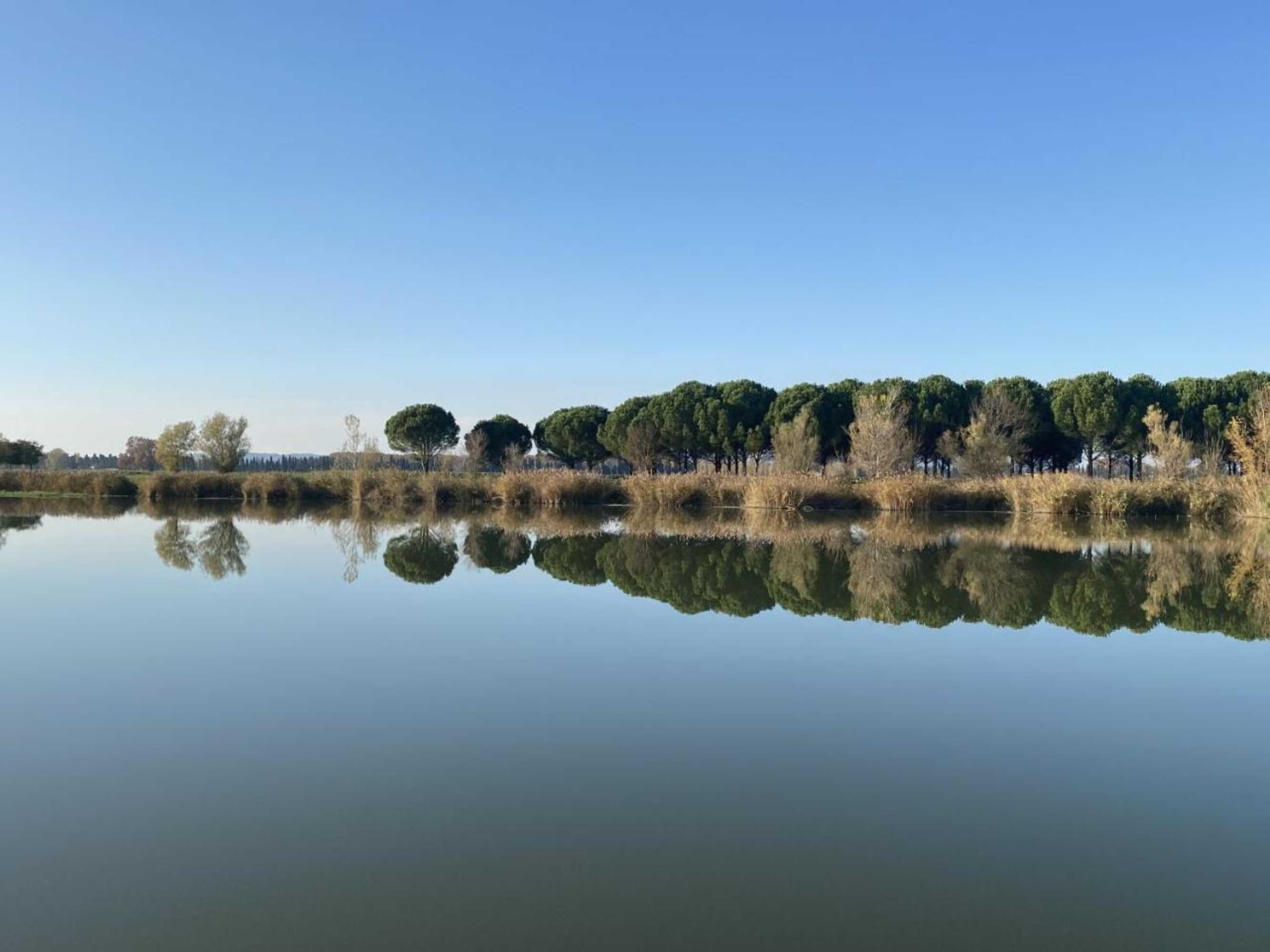 Gift card for Mas La Pauline Gift card for Mas La Pauline