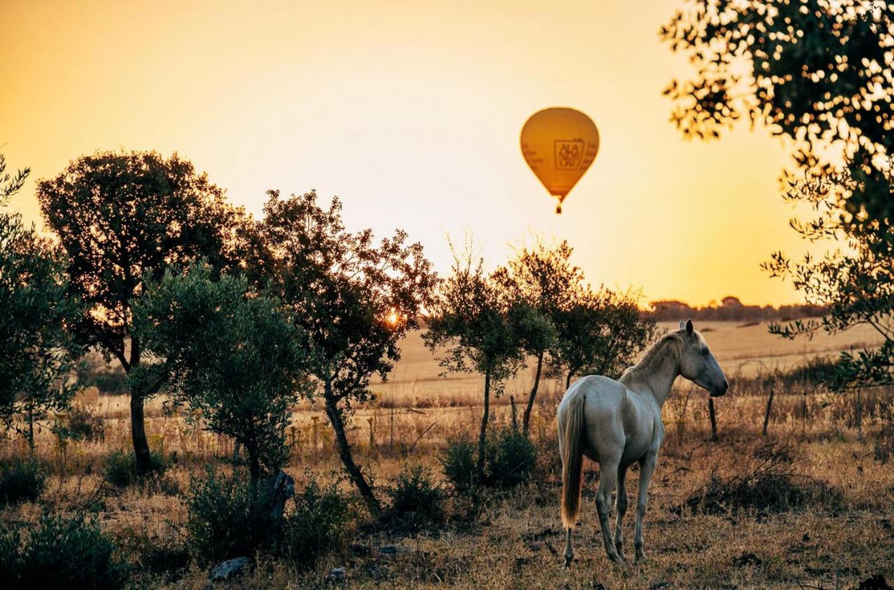 Gift card for Herdade Dos Barros Gift card for Herdade Dos Barros