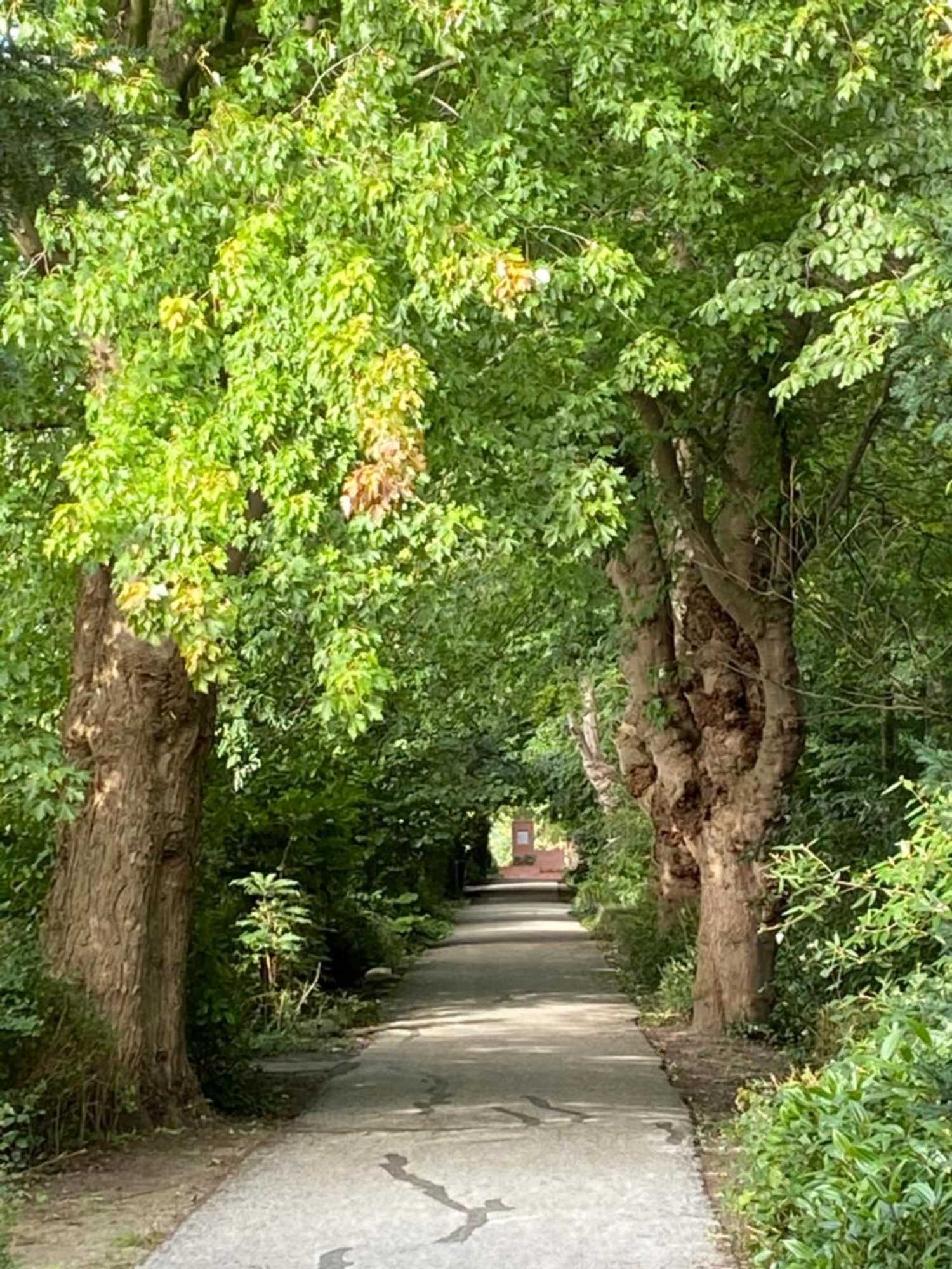 Gift card for Bed And Breakfast Het Emmapark Medemblik