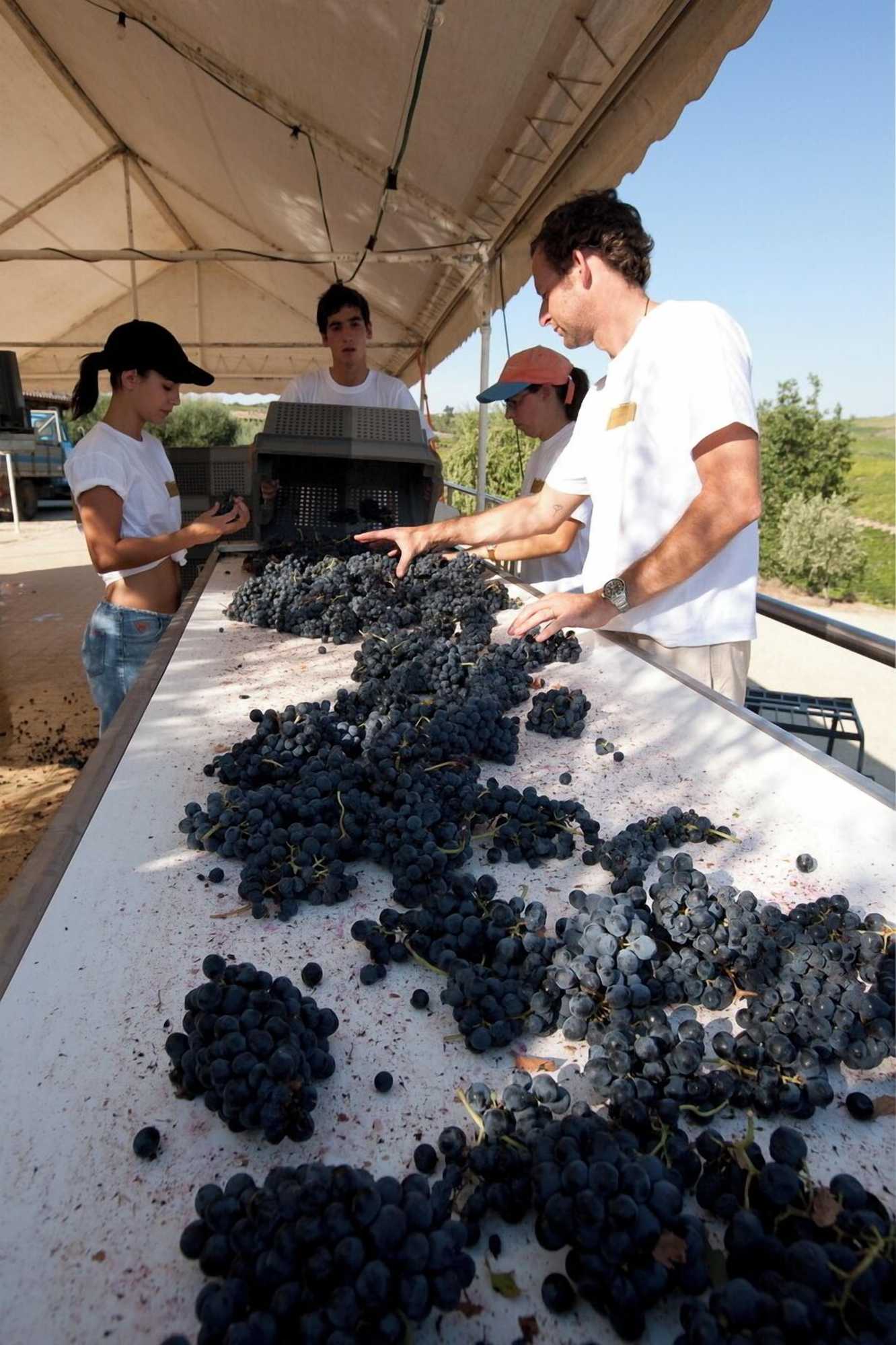 Gift card for Quinta DA Faisca - Agro Turismo