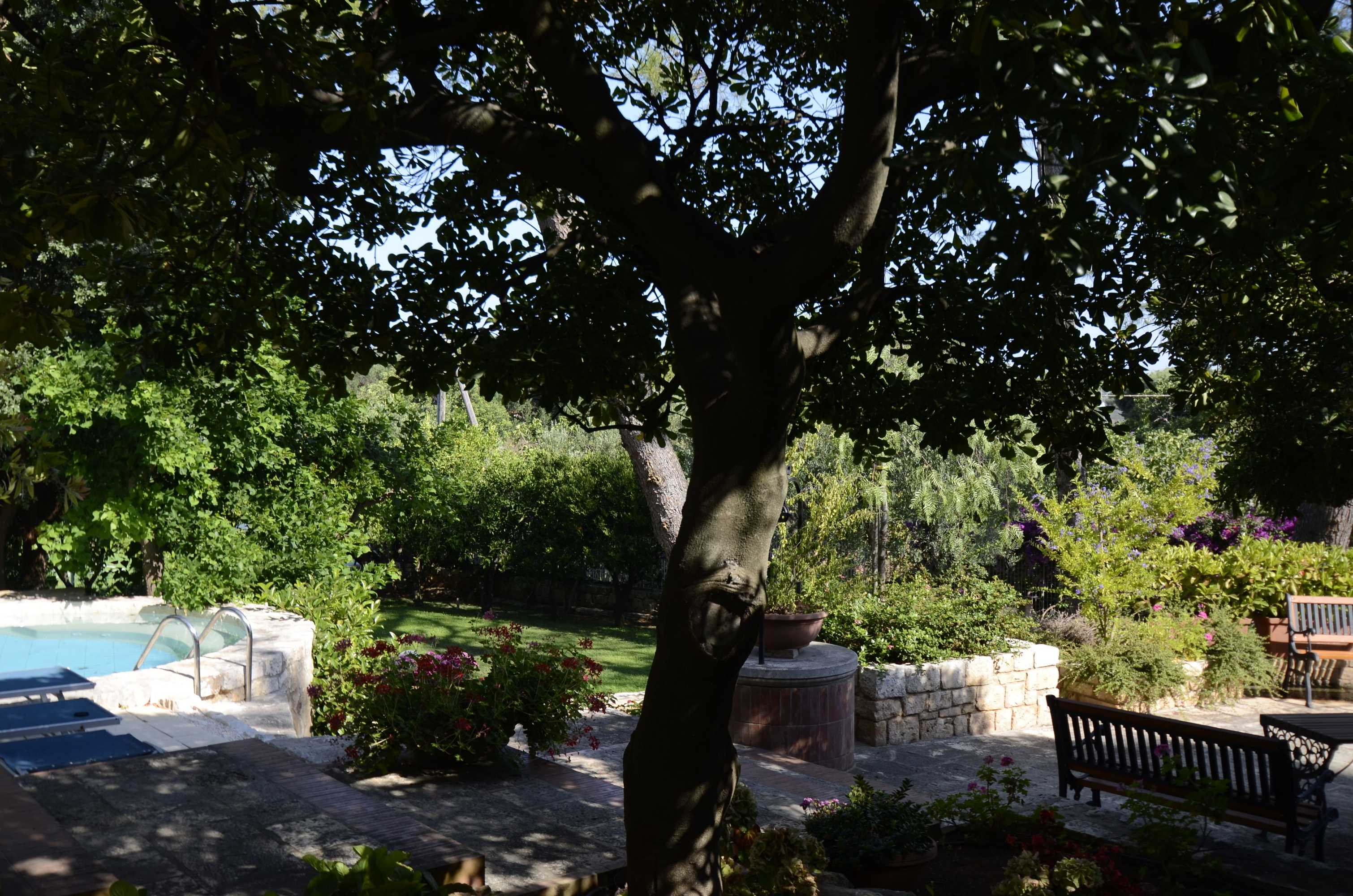 Gift card for B&b Amoredimare Gift card for B&b Amoredimare