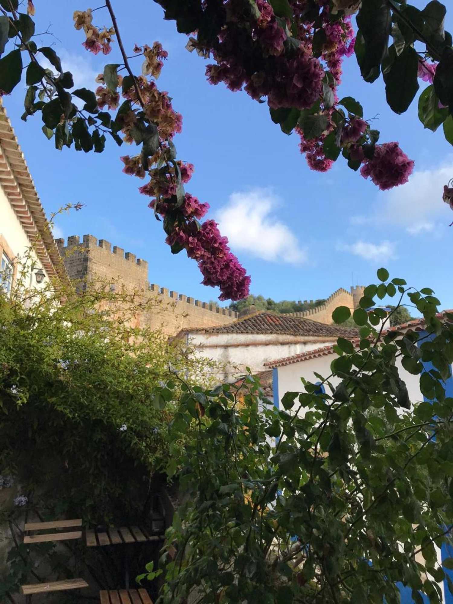 Gift card for Casa Picva