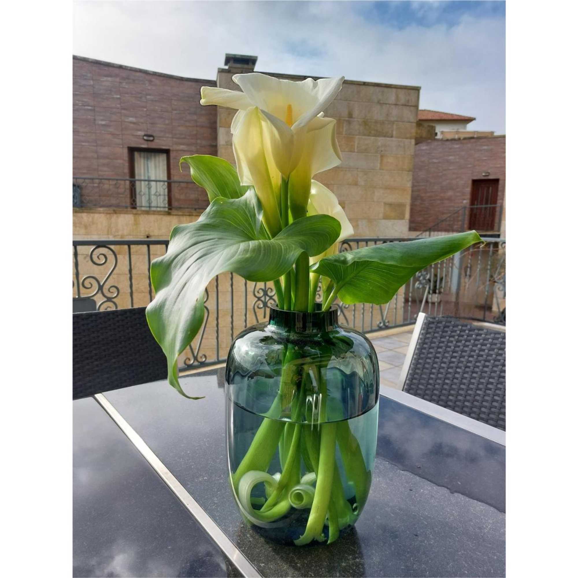 Gift card for Hotel Apartamento Marouco