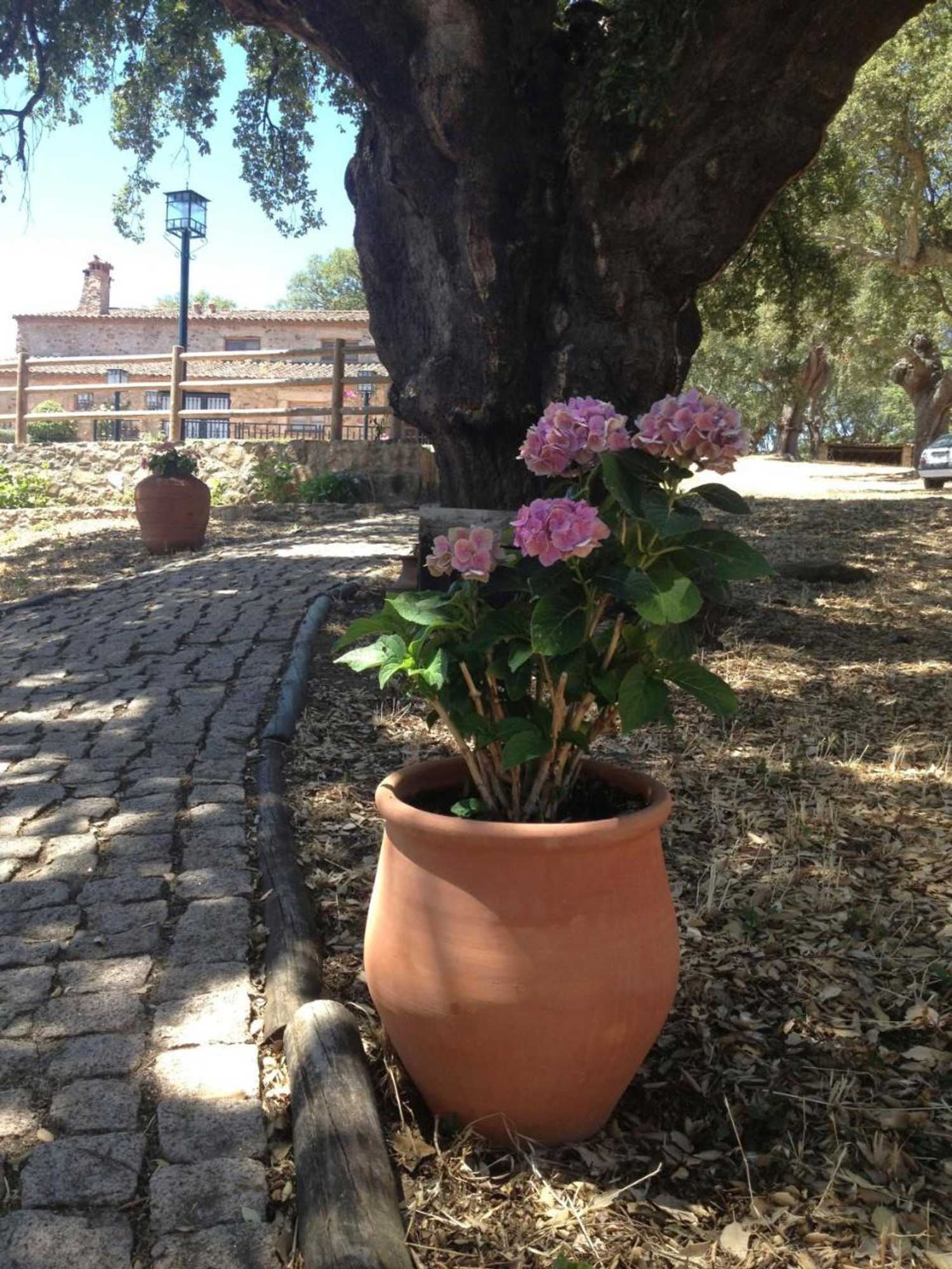 Gift card for La Macera