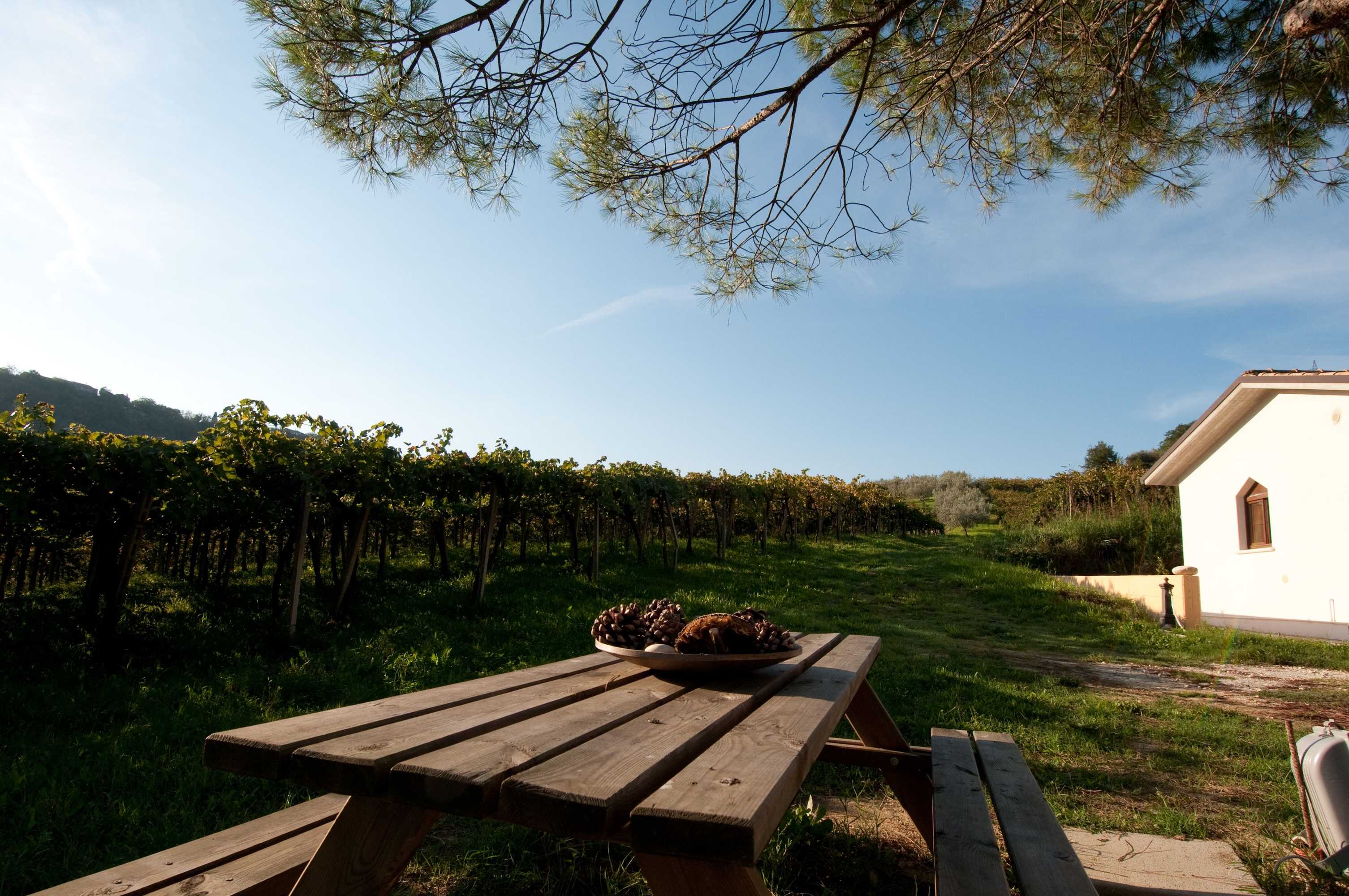 Gift card for Agriturismo Casa Dell'orto Gift card for Agriturismo Casa Dell'orto