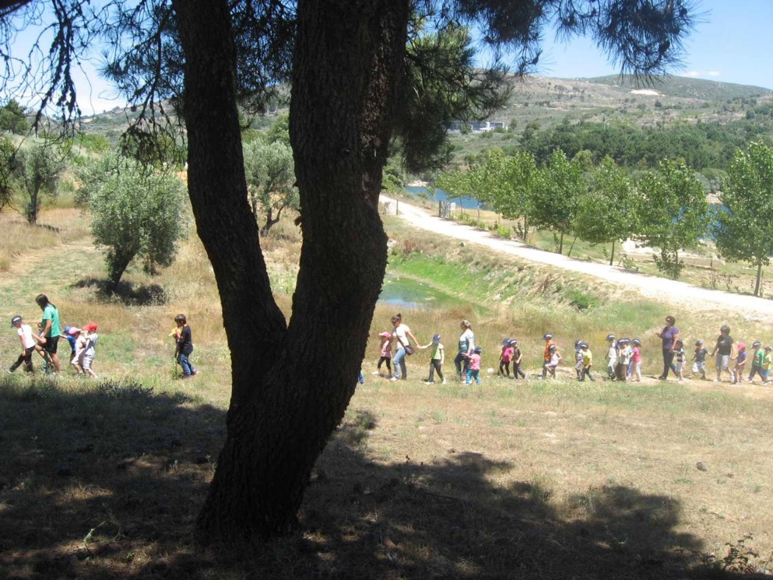 Gift card for Solar Dos Correia Alves