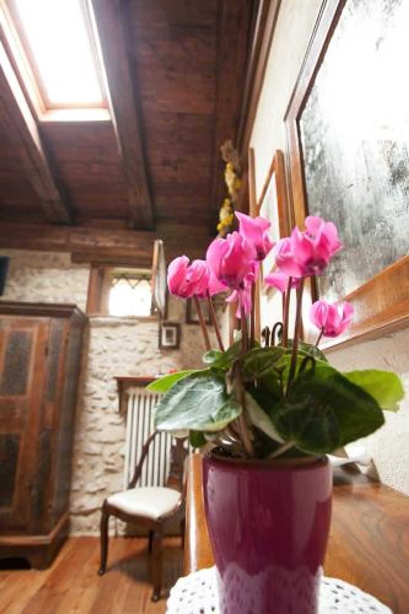 Gift card for B&b Asolo Casapagnano Gift card for B&b Asolo Casapagnano