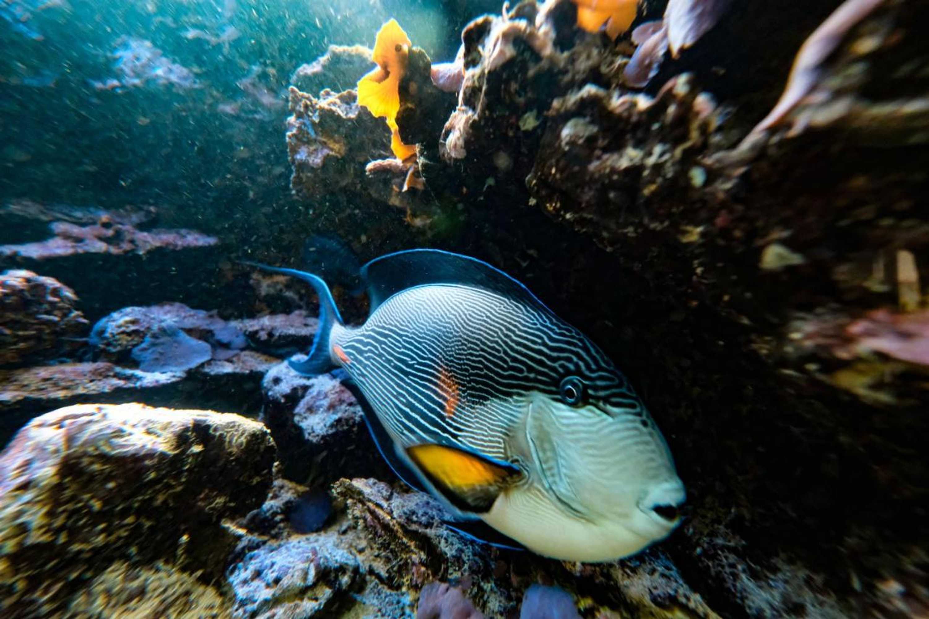 Gift card for Hotel Klosterhof