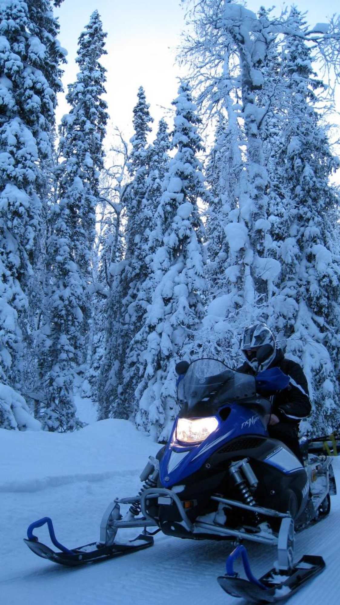 Gift card for Guesthouse Golden Goose