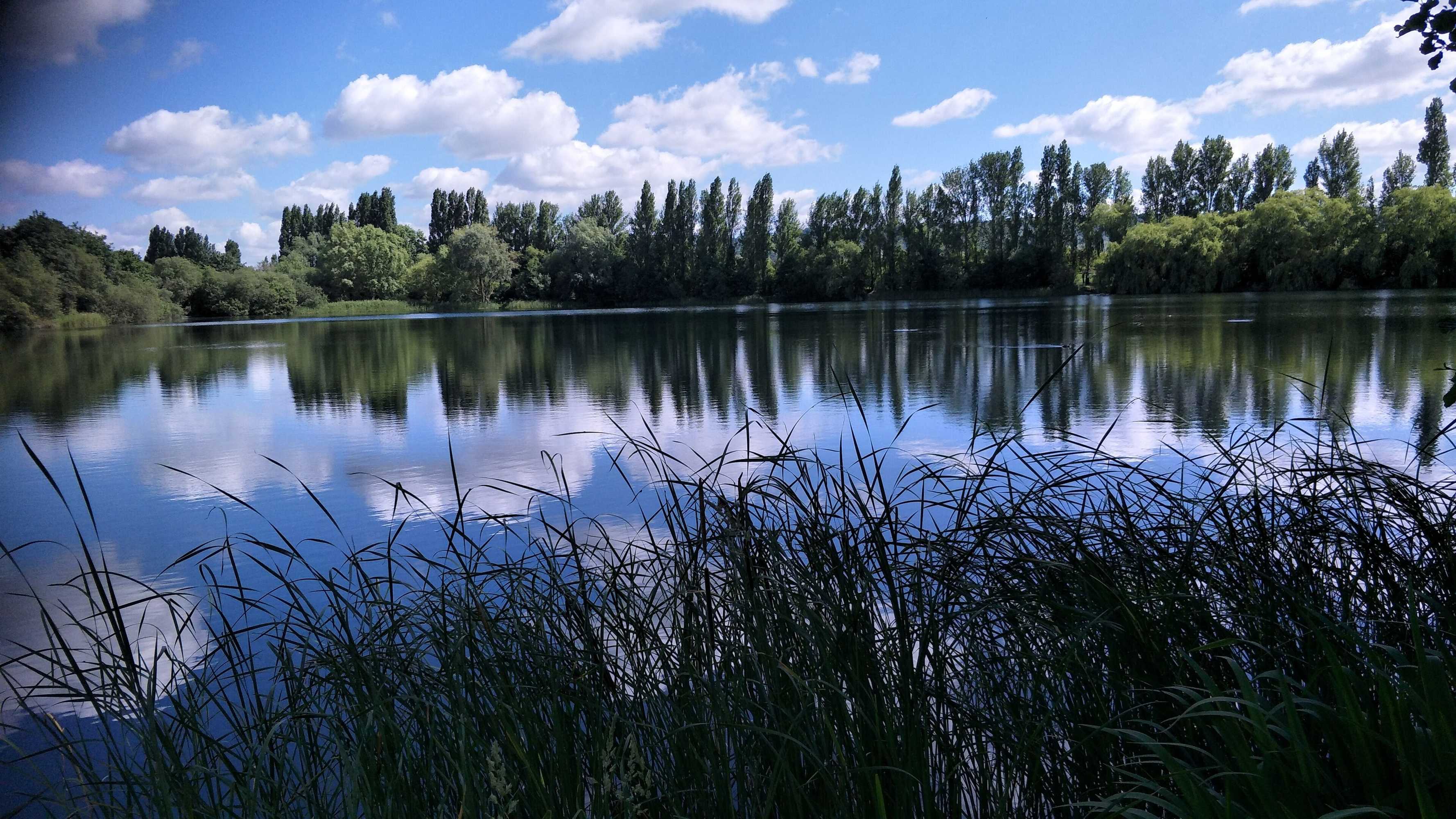 Gift card for Mallard Cottage