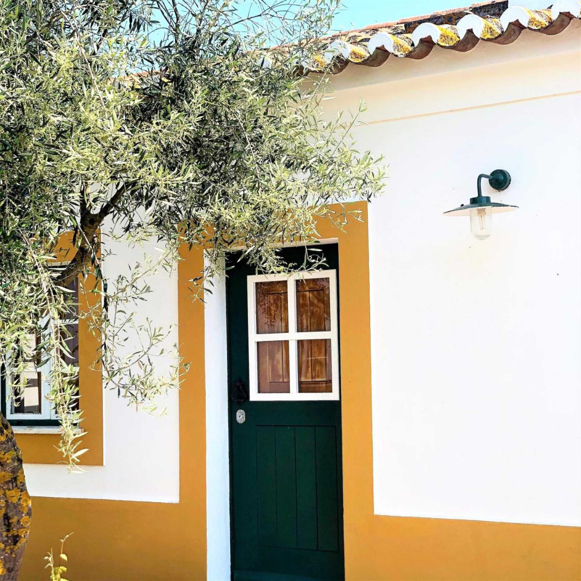 Gift card for Monte Papa Toucinho