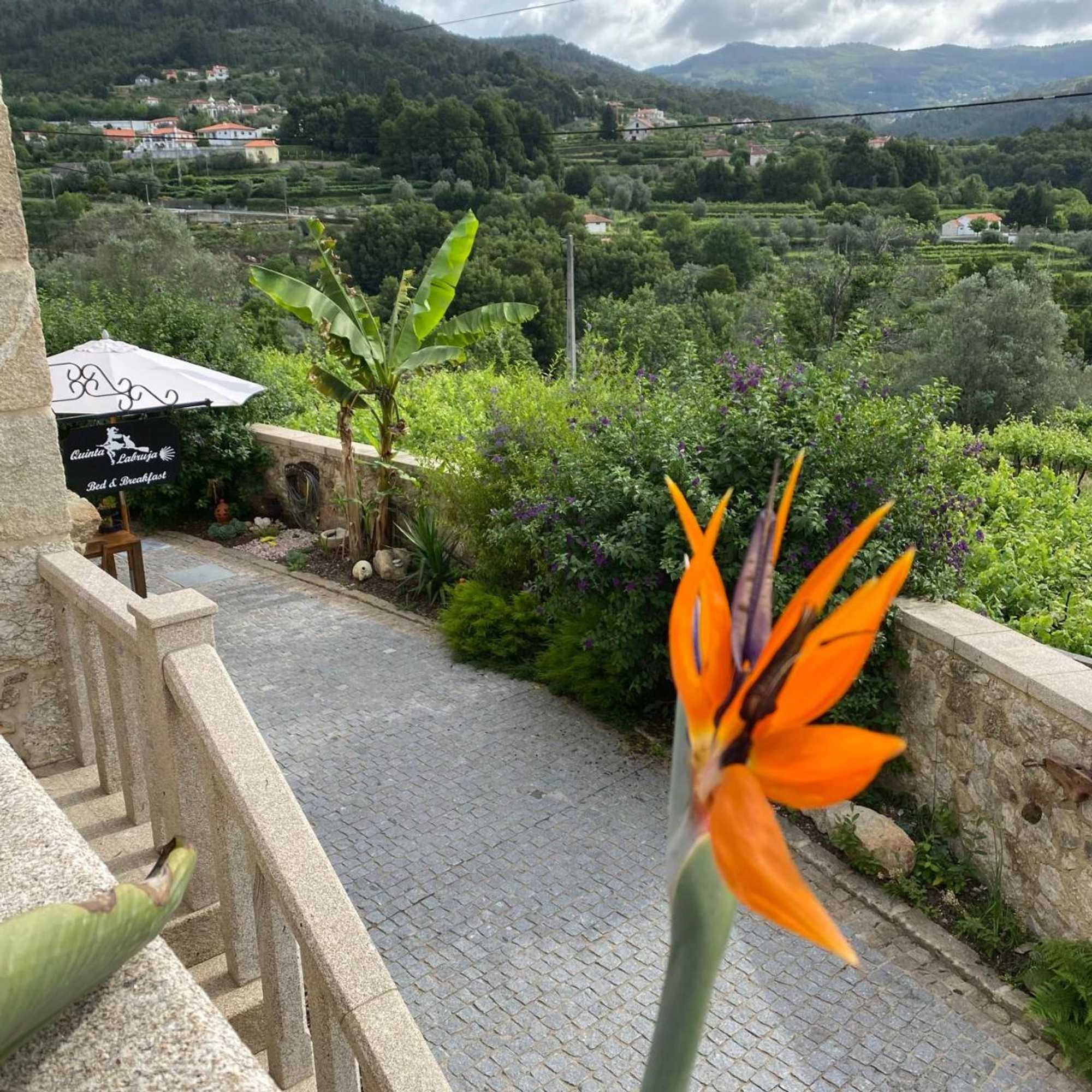 Gift card for Quinta Labruja