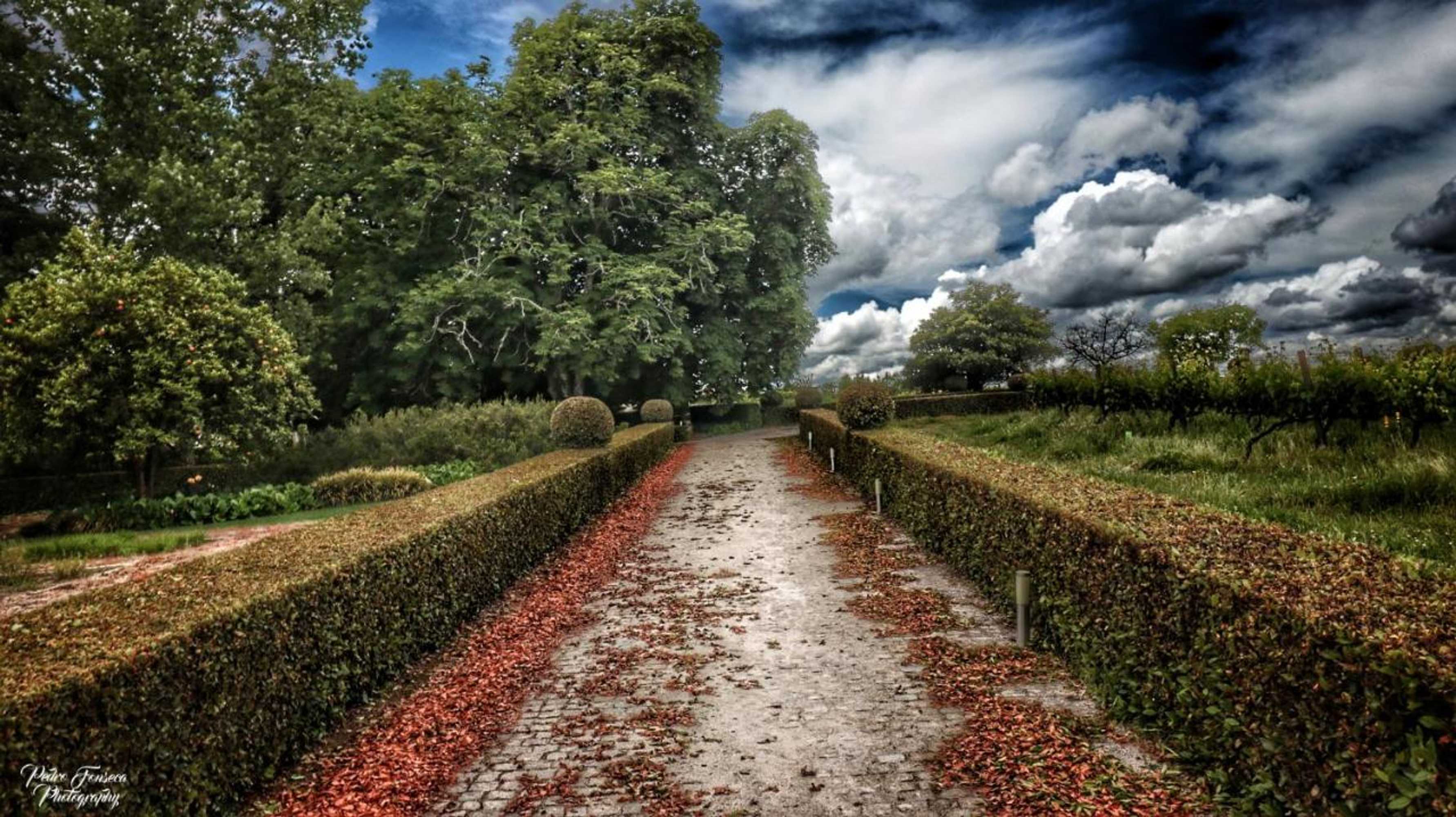 Gift card for Casa Luís de Camões - Boutique & Literary House