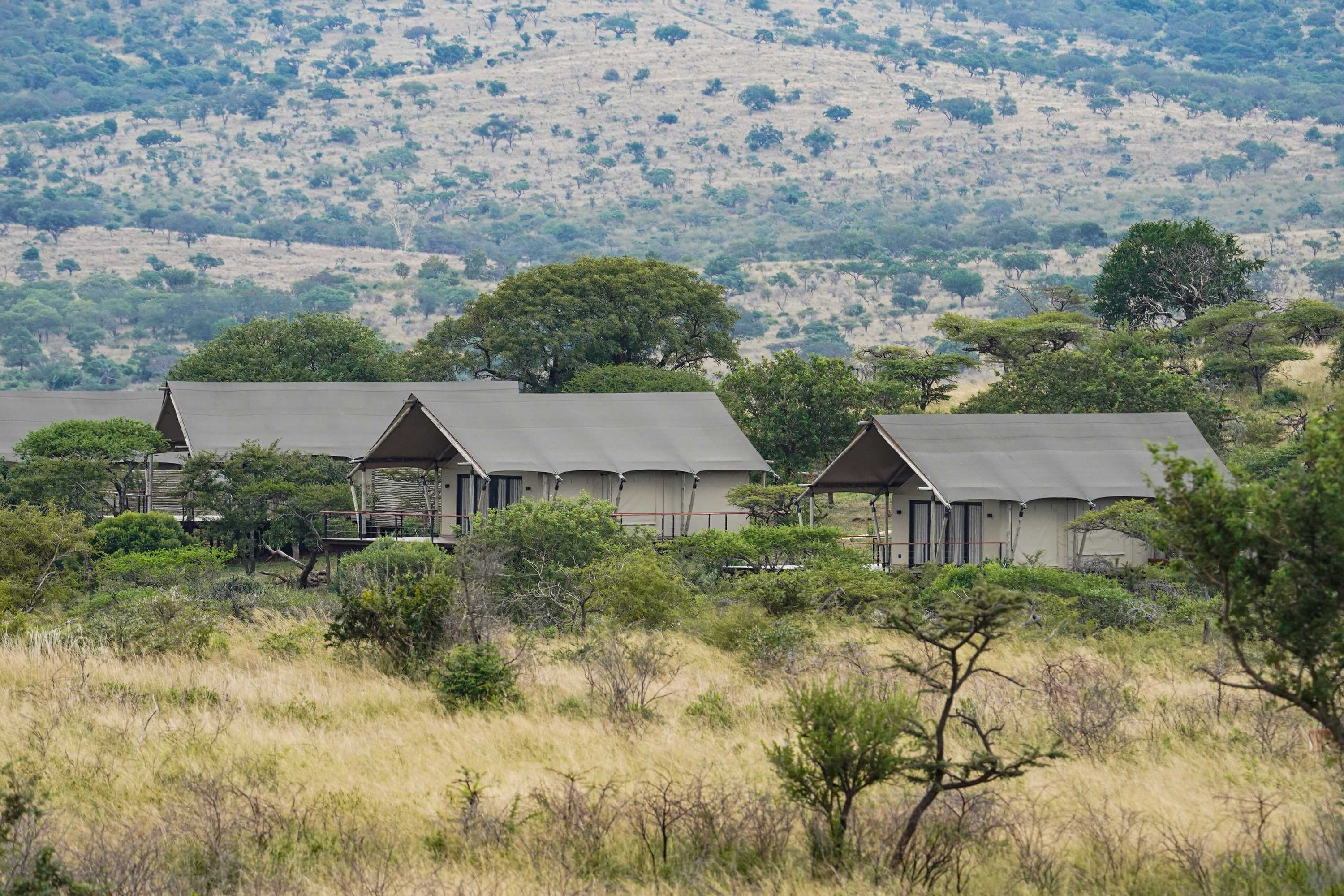 Gift card for Mavela Game Lodge Gift card for Mavela Game Lodge