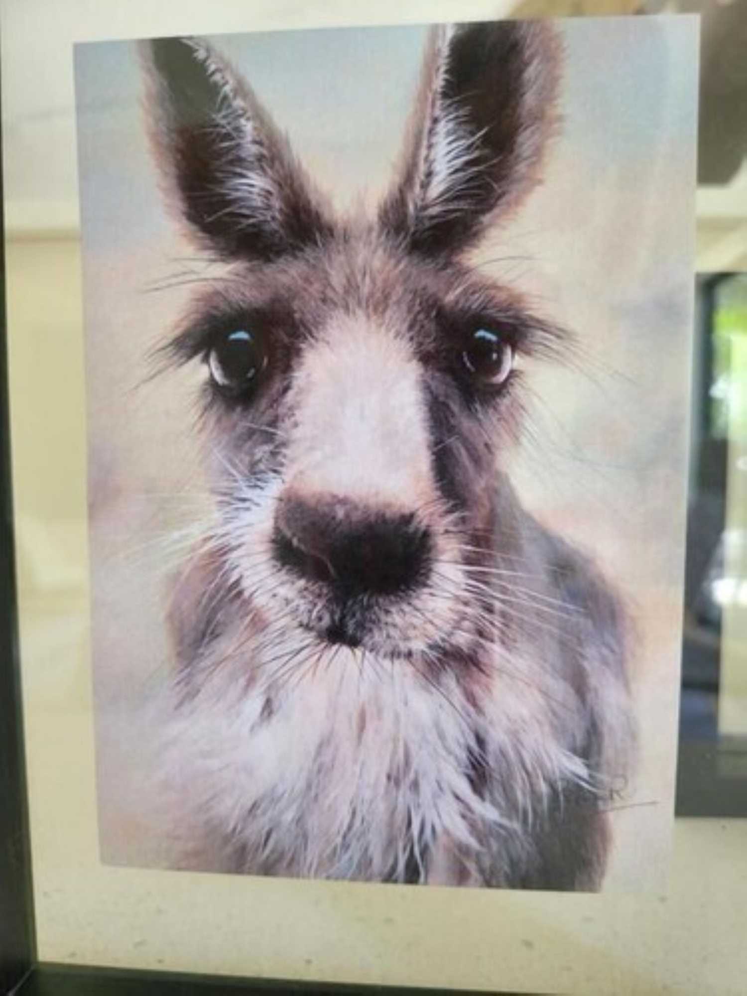 Gift card for Deville At Healesville