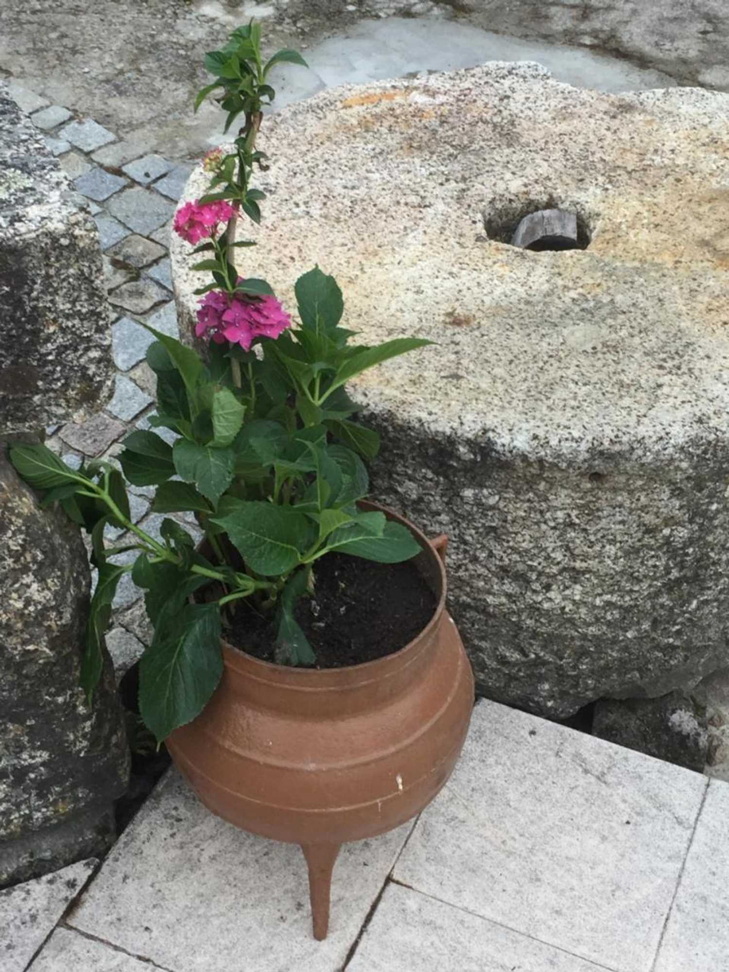 Gift card for Havan House