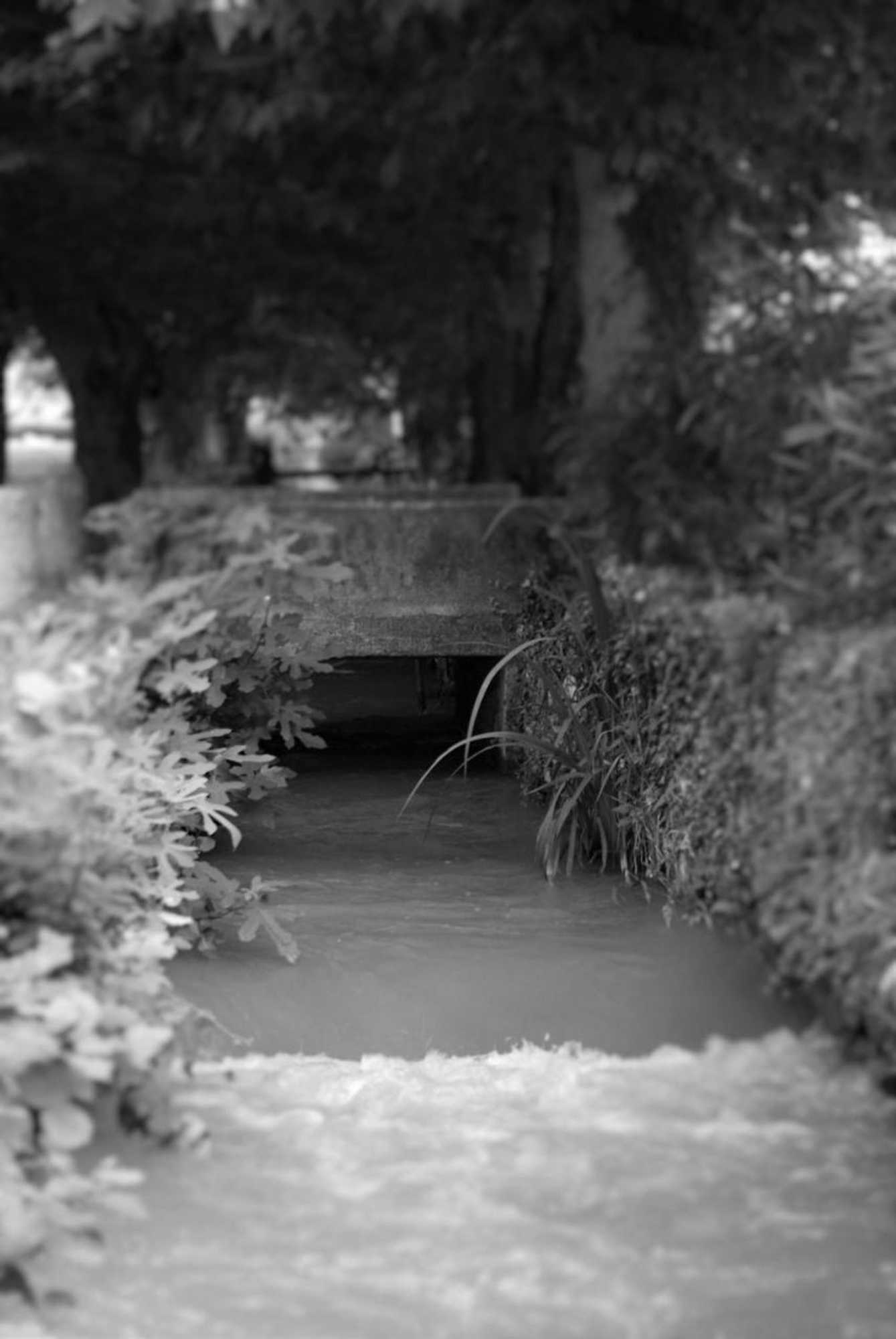 Gift card for Auberge Du Parc