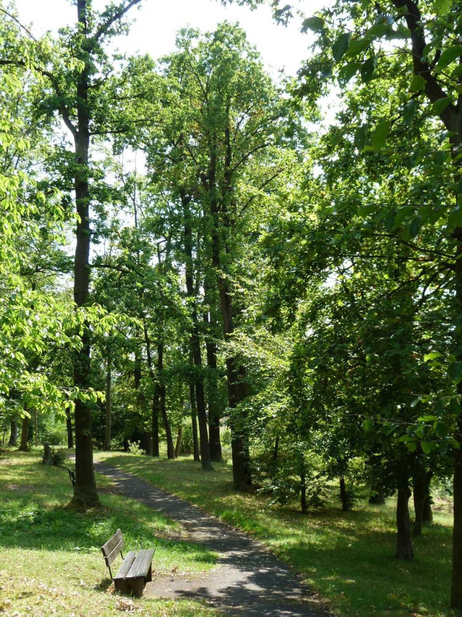 Gift card for Spilburg Apartments