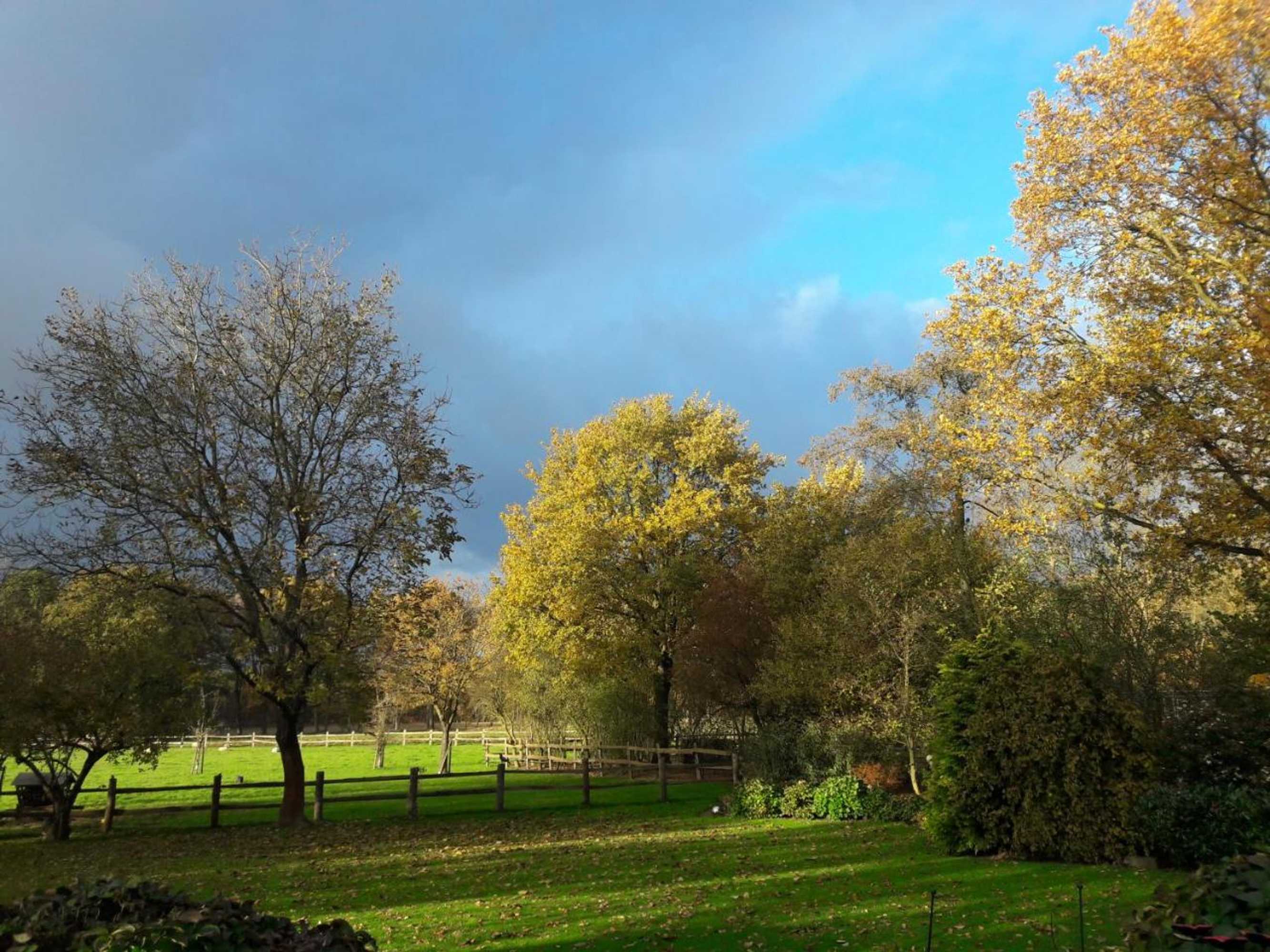 Gift card for Het Geheim Van Merselo