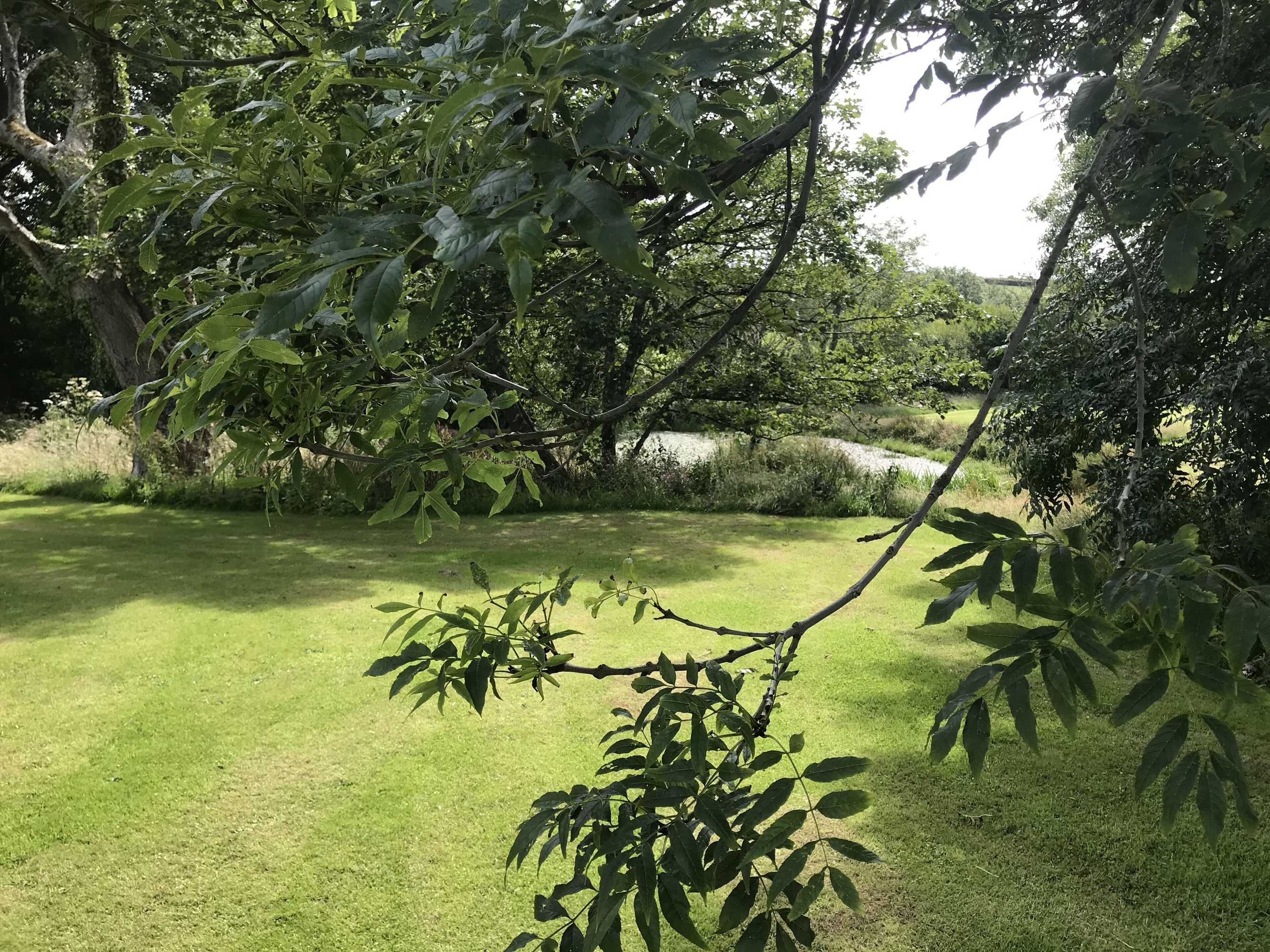 Gift card for Fern Cottage - 1 Bedroom - Tiers Cross