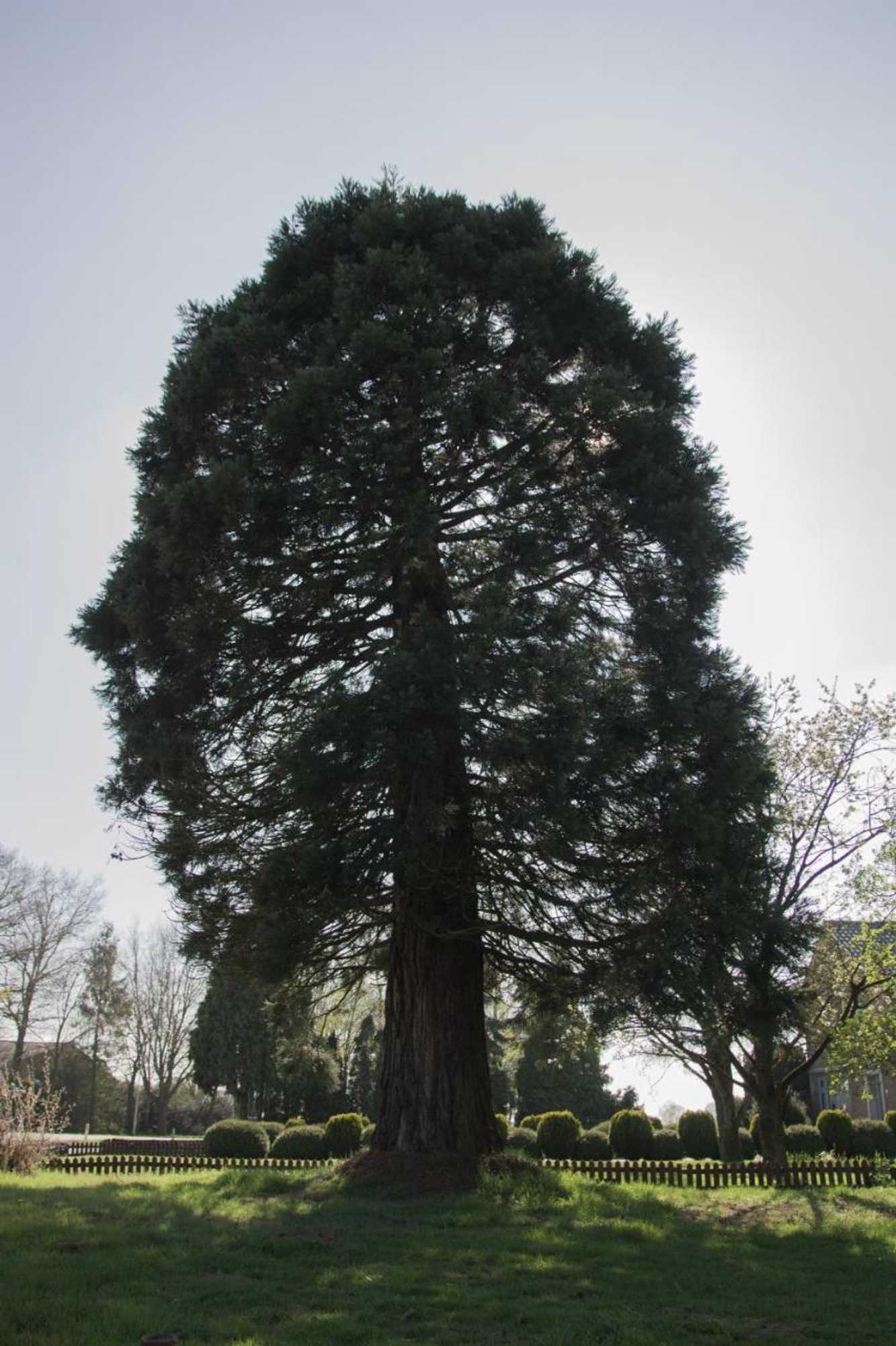 Gift card for B&b Van Beijden