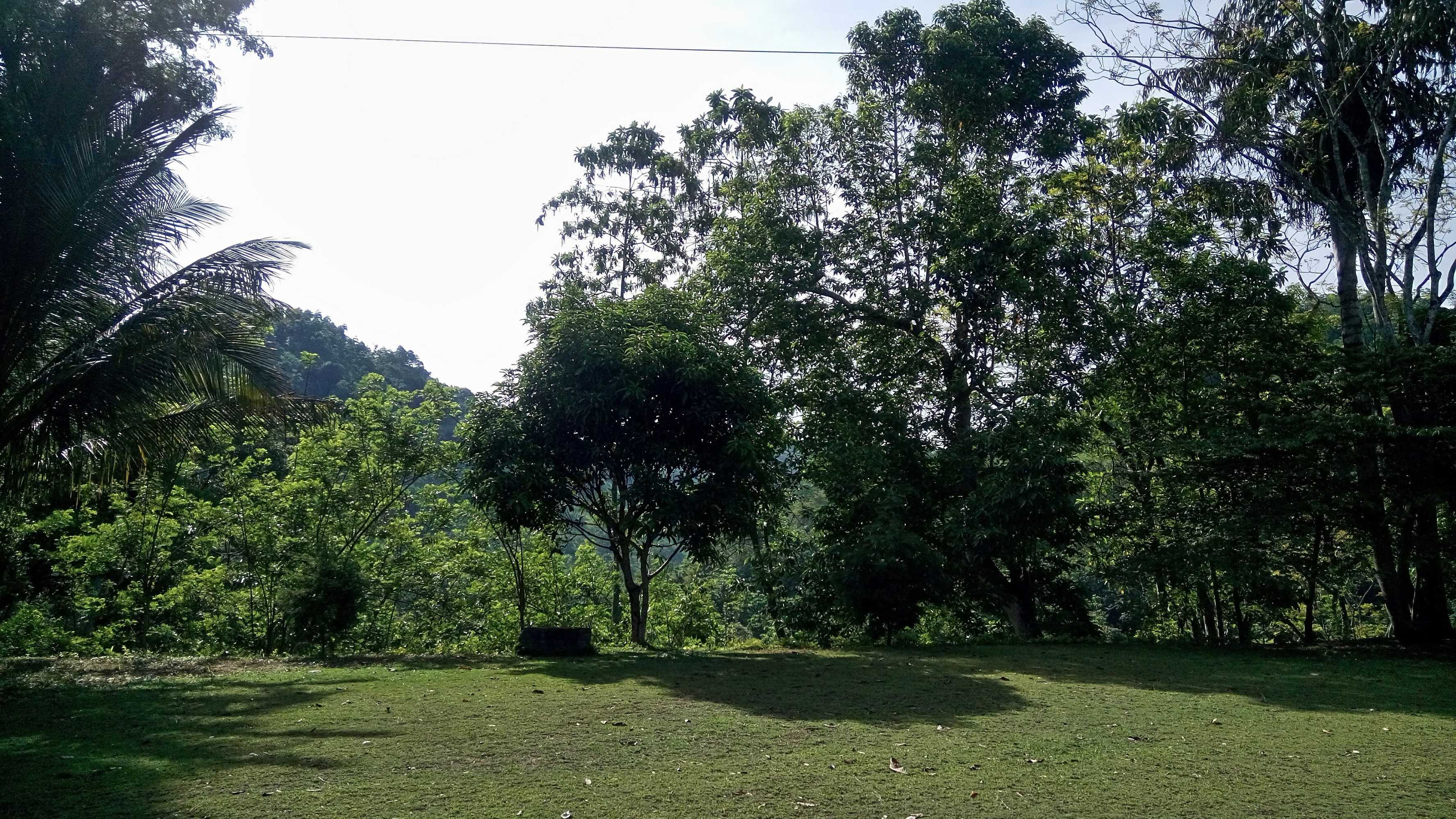 Gift card for Tea Leaf Retreat Peradeniya Gift card for Tea Leaf Retreat Peradeniya
