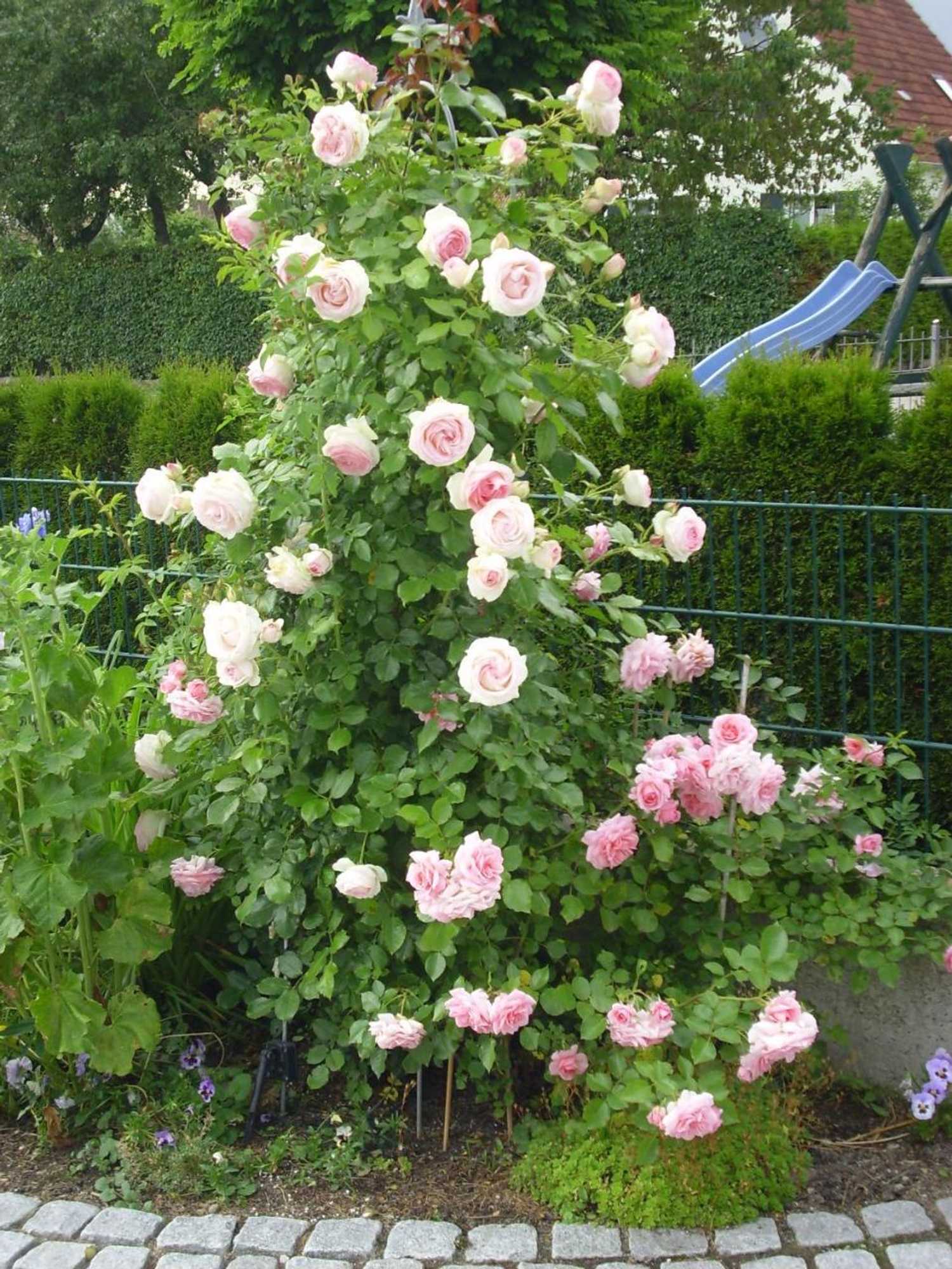 Gift card for Ferienwohnung Maria Waldblick 95 Qm- 2 Schlafzimmer Mit Balkon