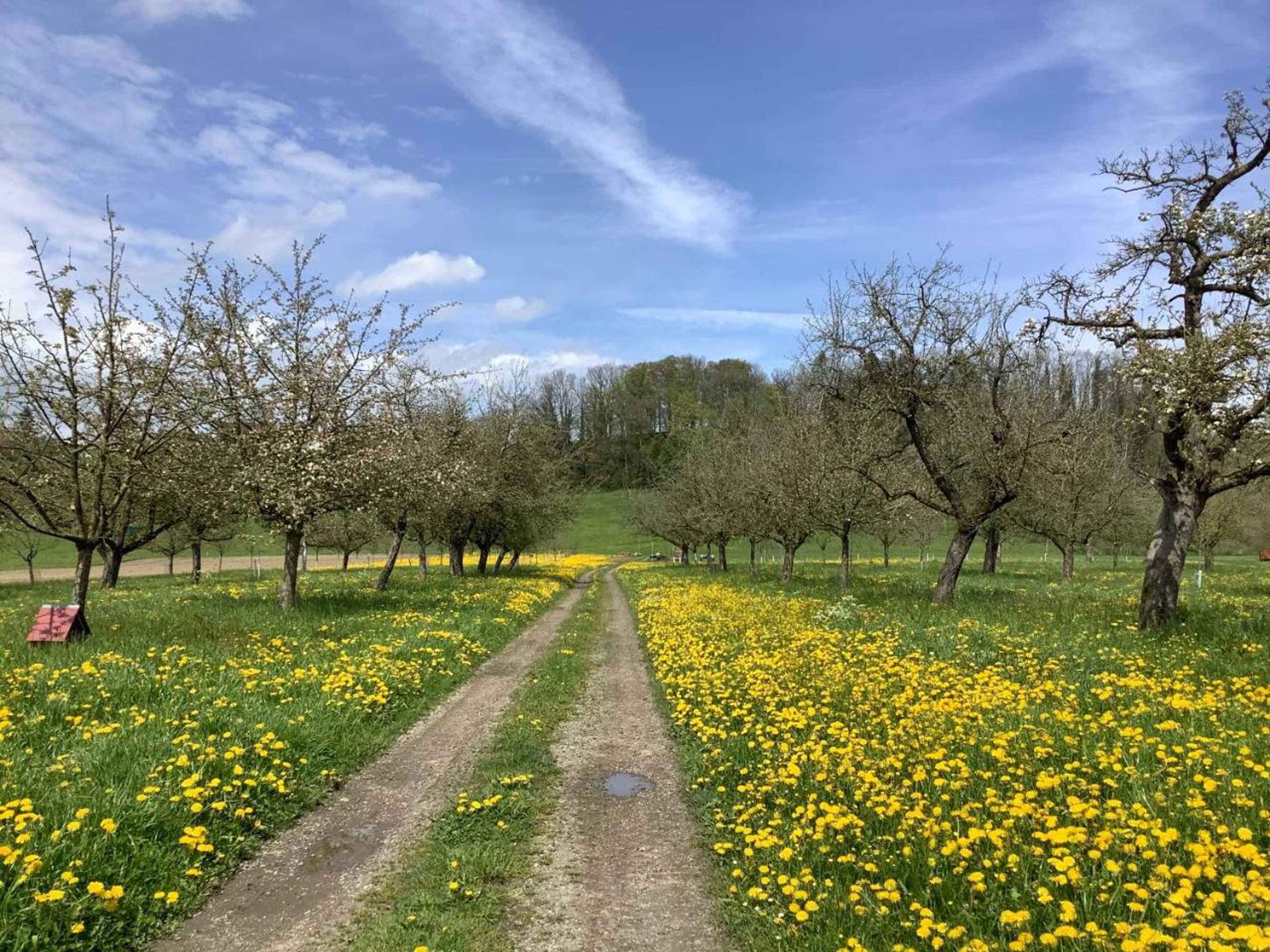 Gift card for Sitter-Panorama