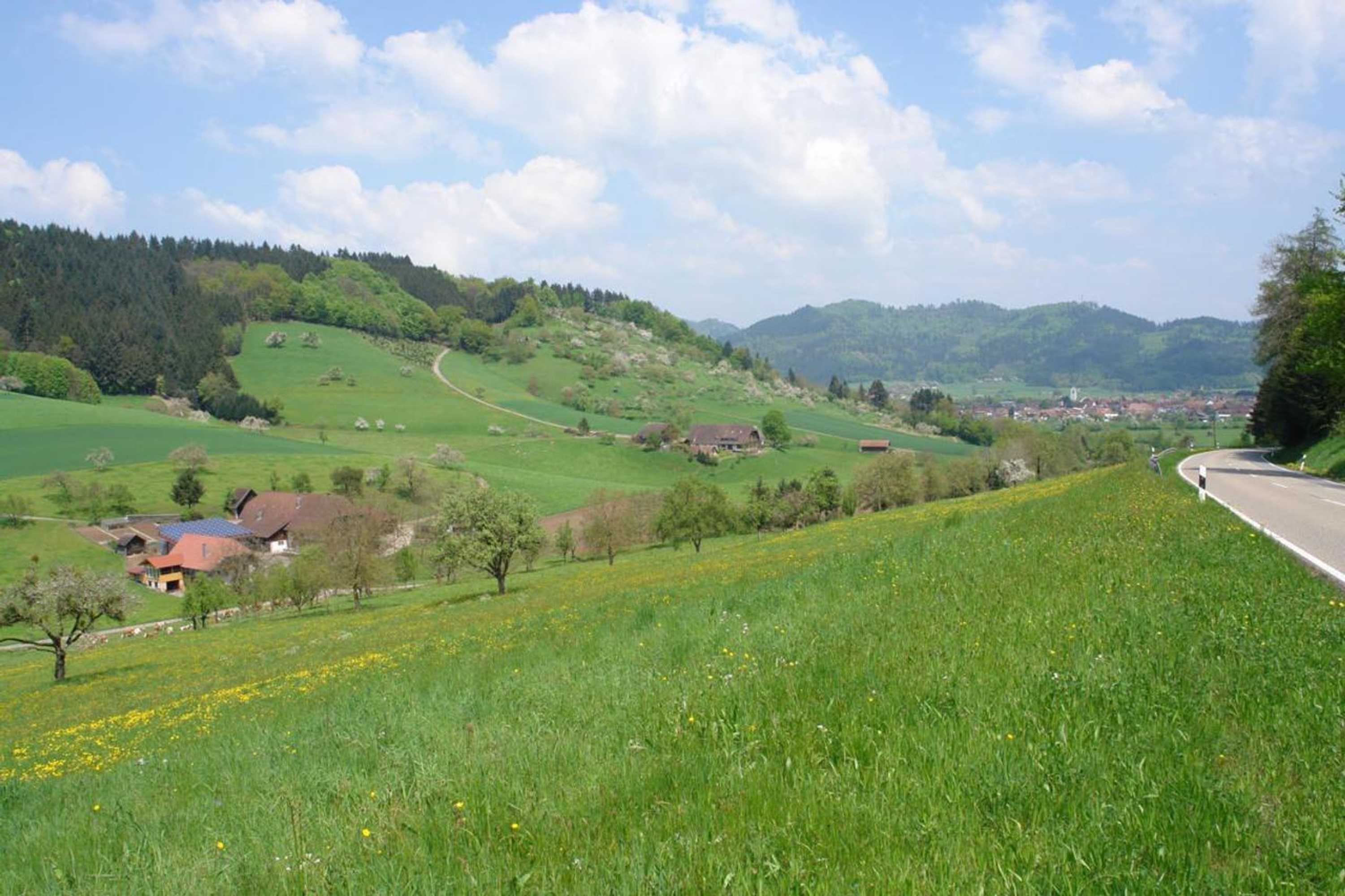 Gift card for Schwarzwälder Ferienwohnungen - Marita Schäfer