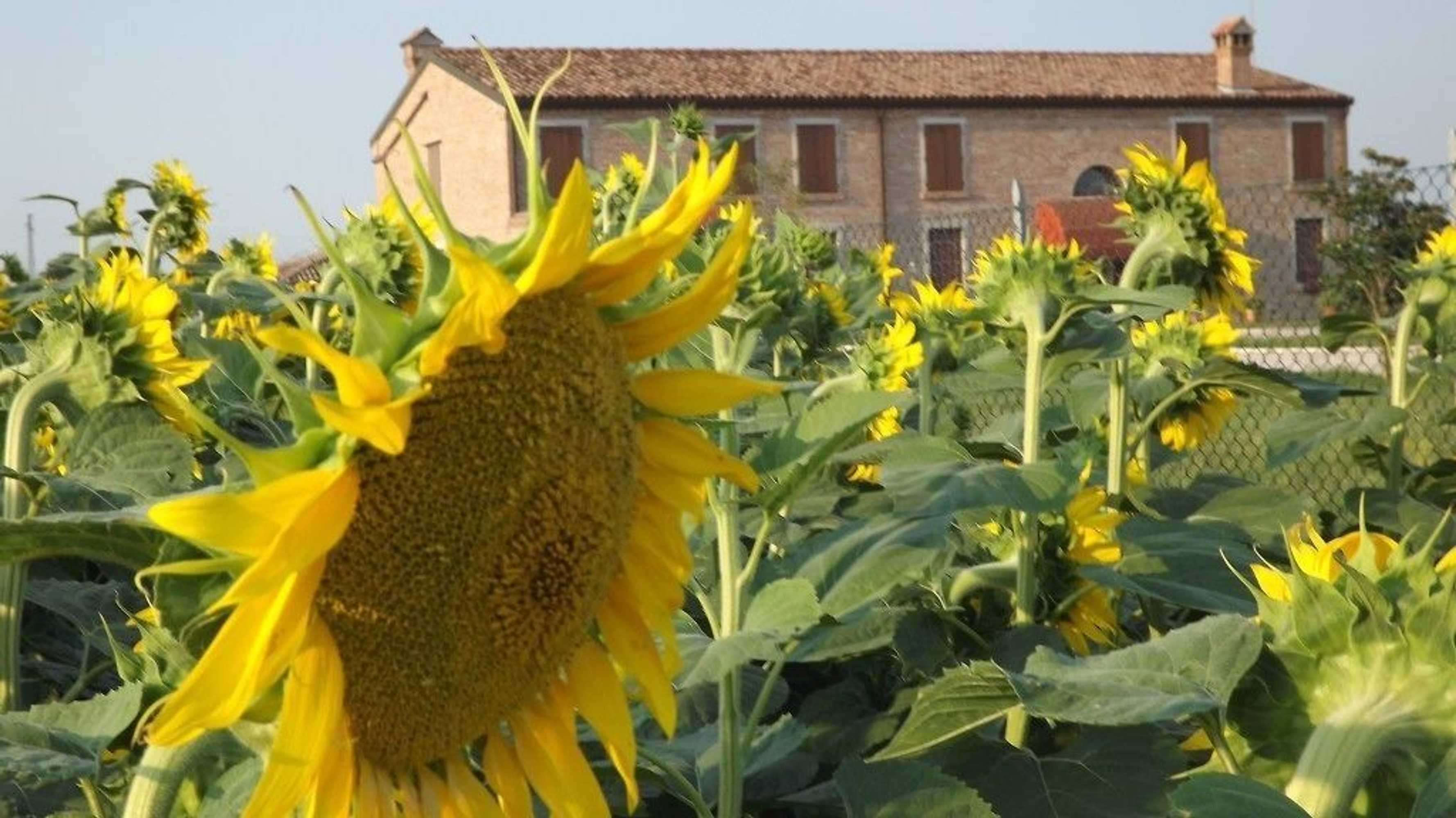 Gift card for Il Frattiero B&b Gift card for Il Frattiero B&b