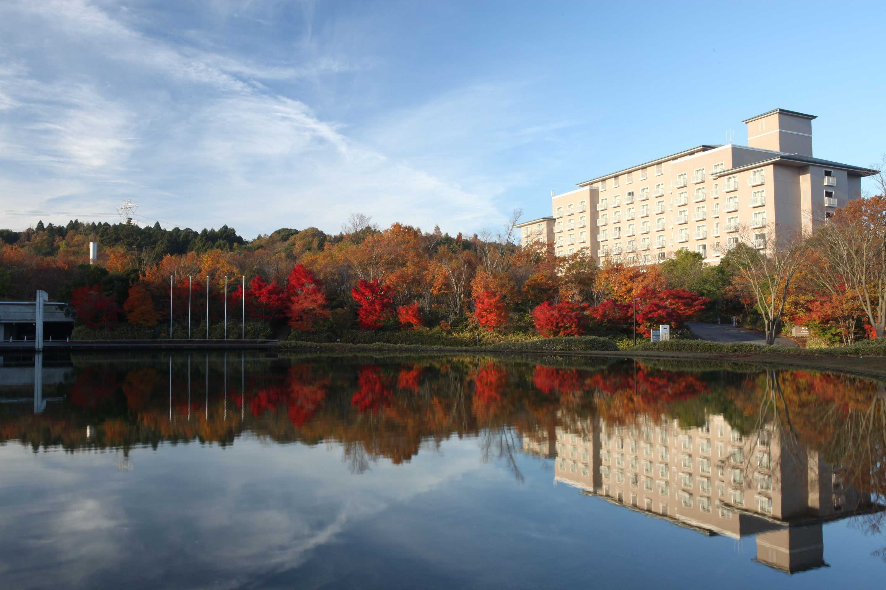 Gift card for Okura Akademia Park Hotel Gift card for Okura Akademia Park Hotel