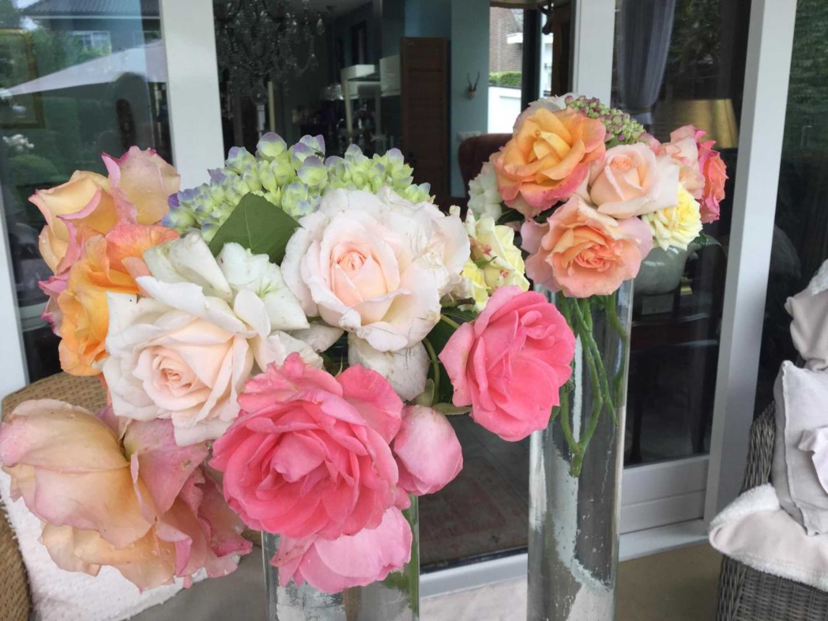 Gift card for B&b Lux Schijndel