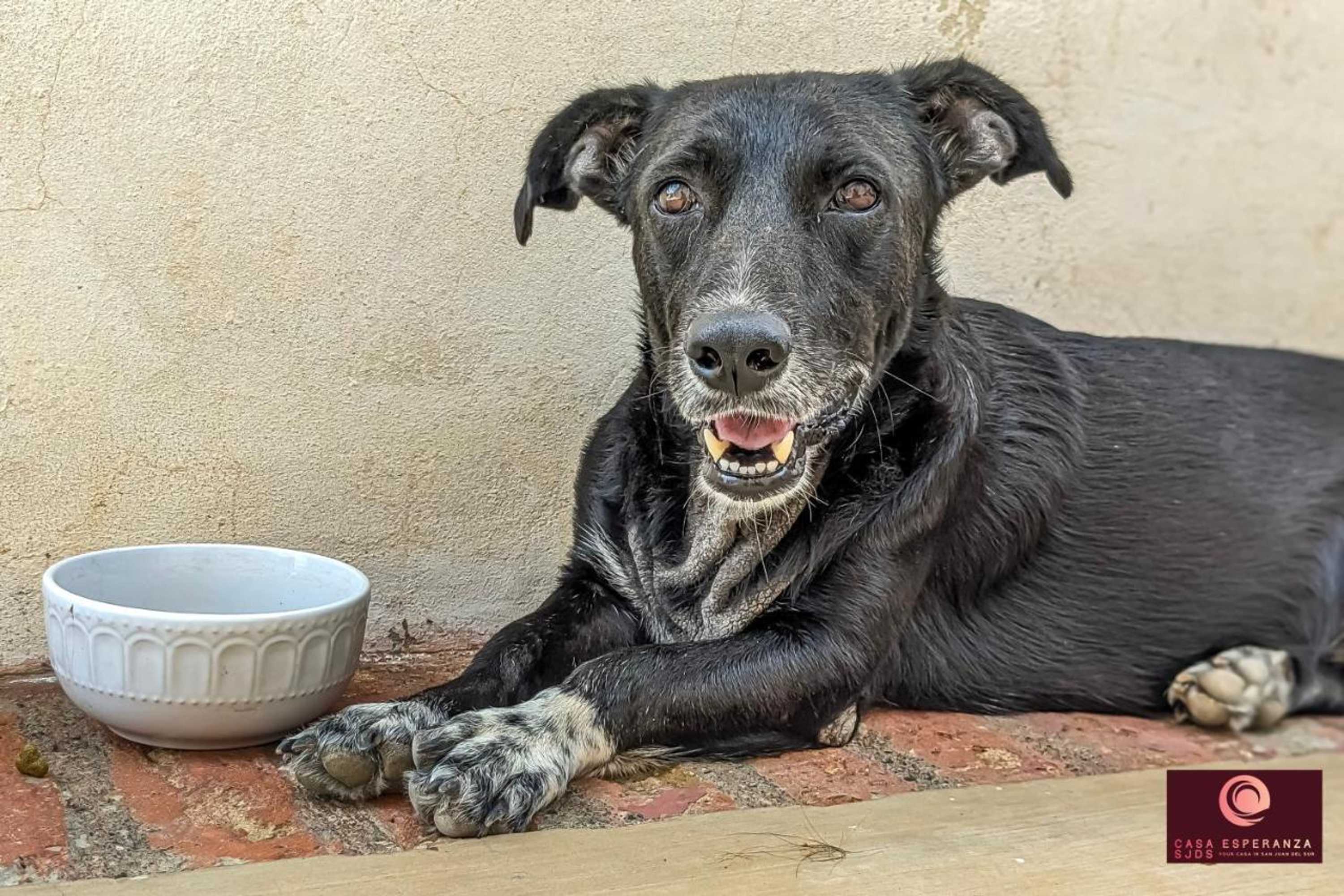 Gift card for Casa Esperanza Sjds