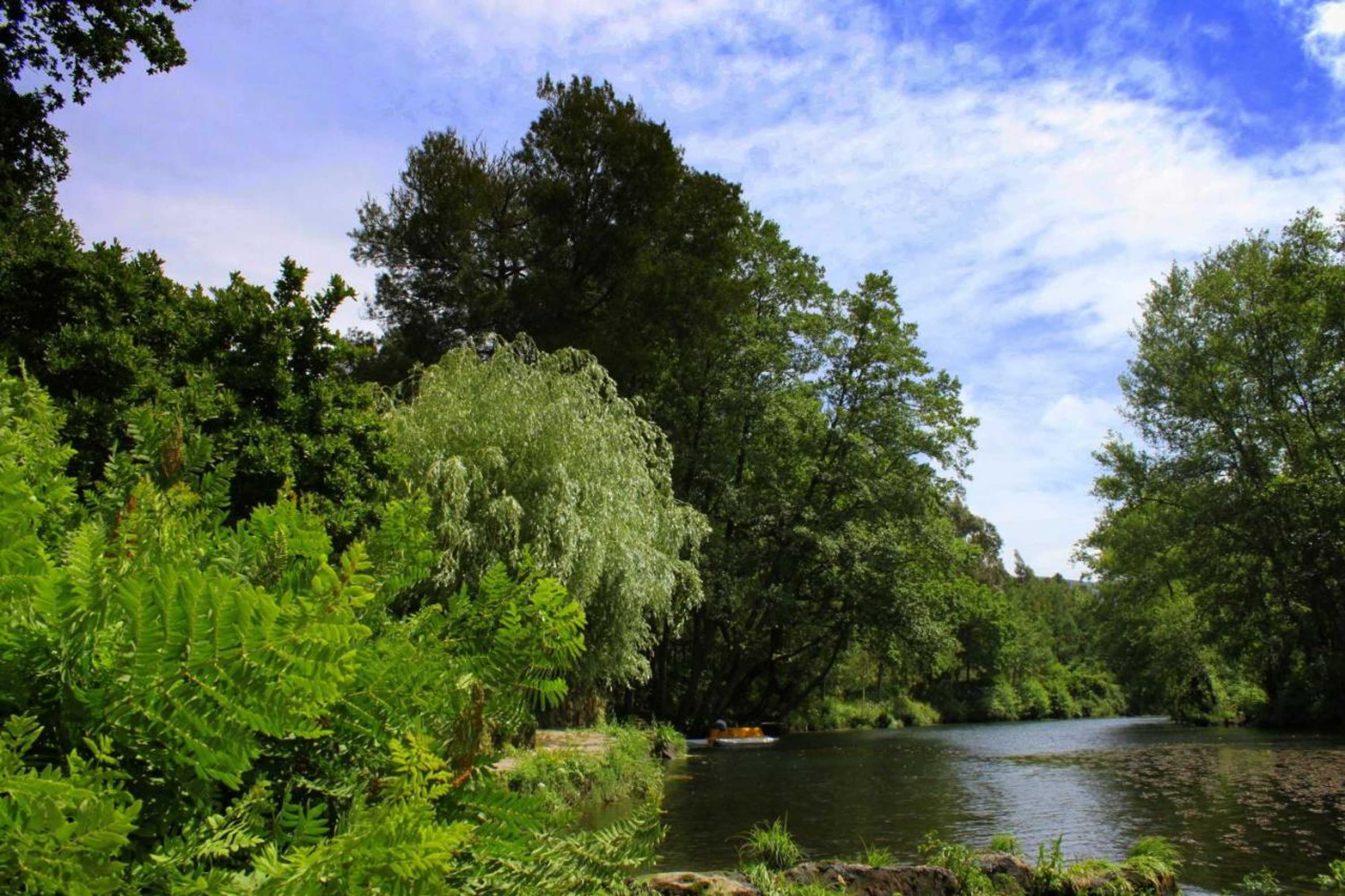 Gift card for Casas Da Azenha