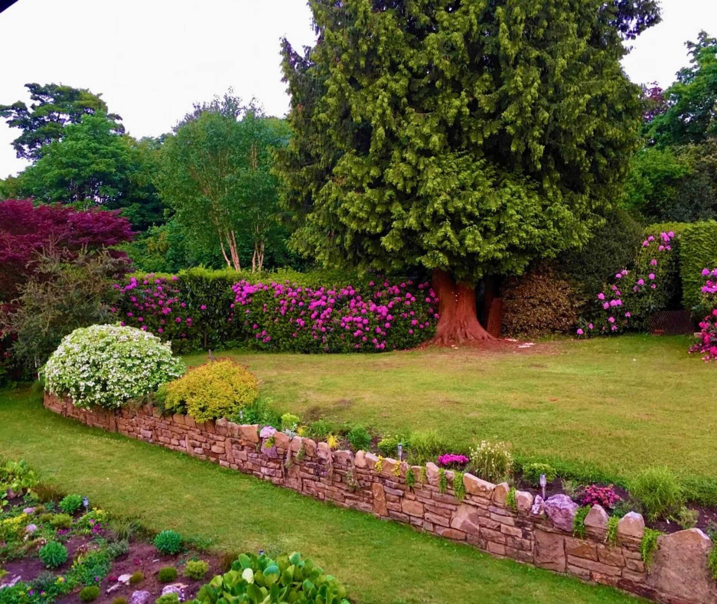 Gift card for Ranmore Rise Bed And Breakfast