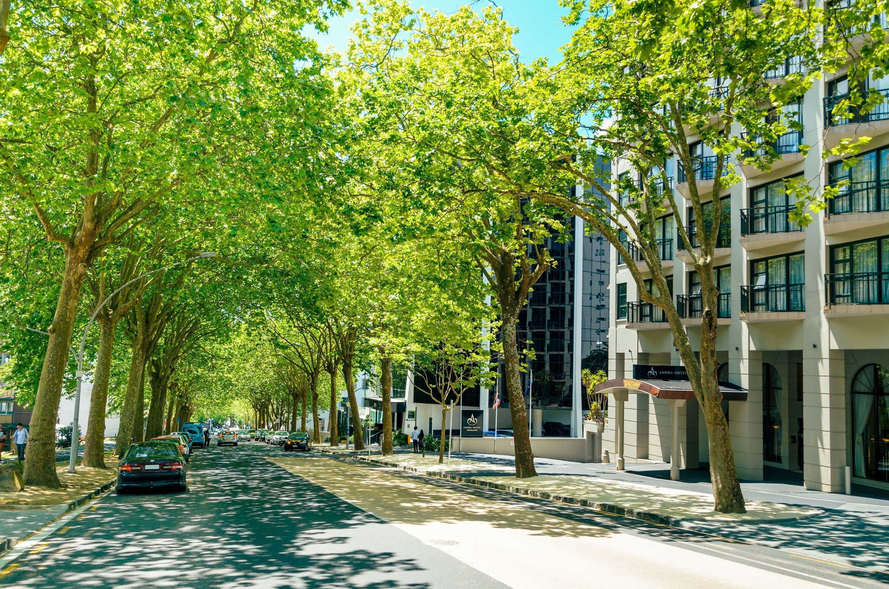 Gift card for Parkside Hotel & Apartments Auckland