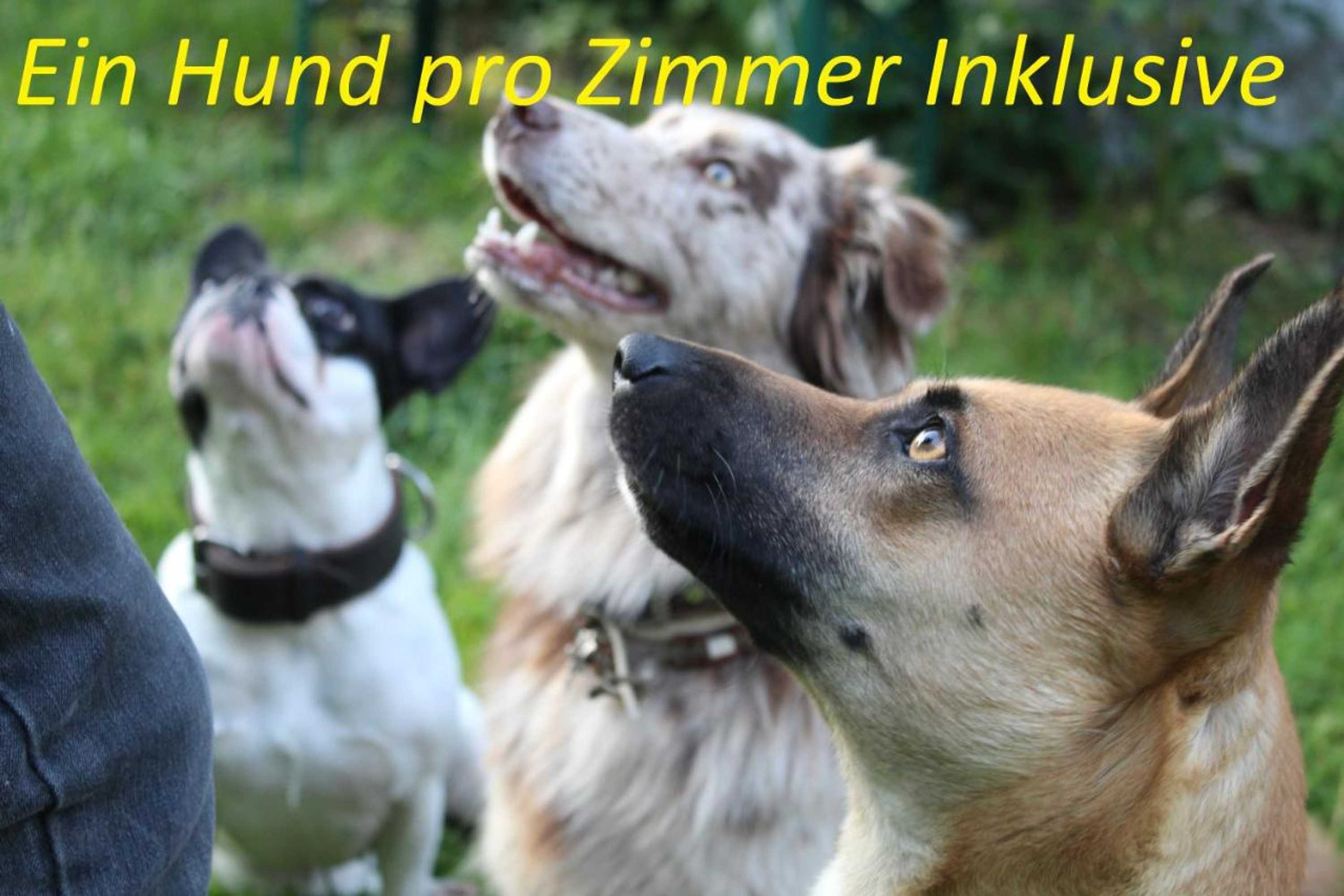 Gift card for Pension Sonnleitn