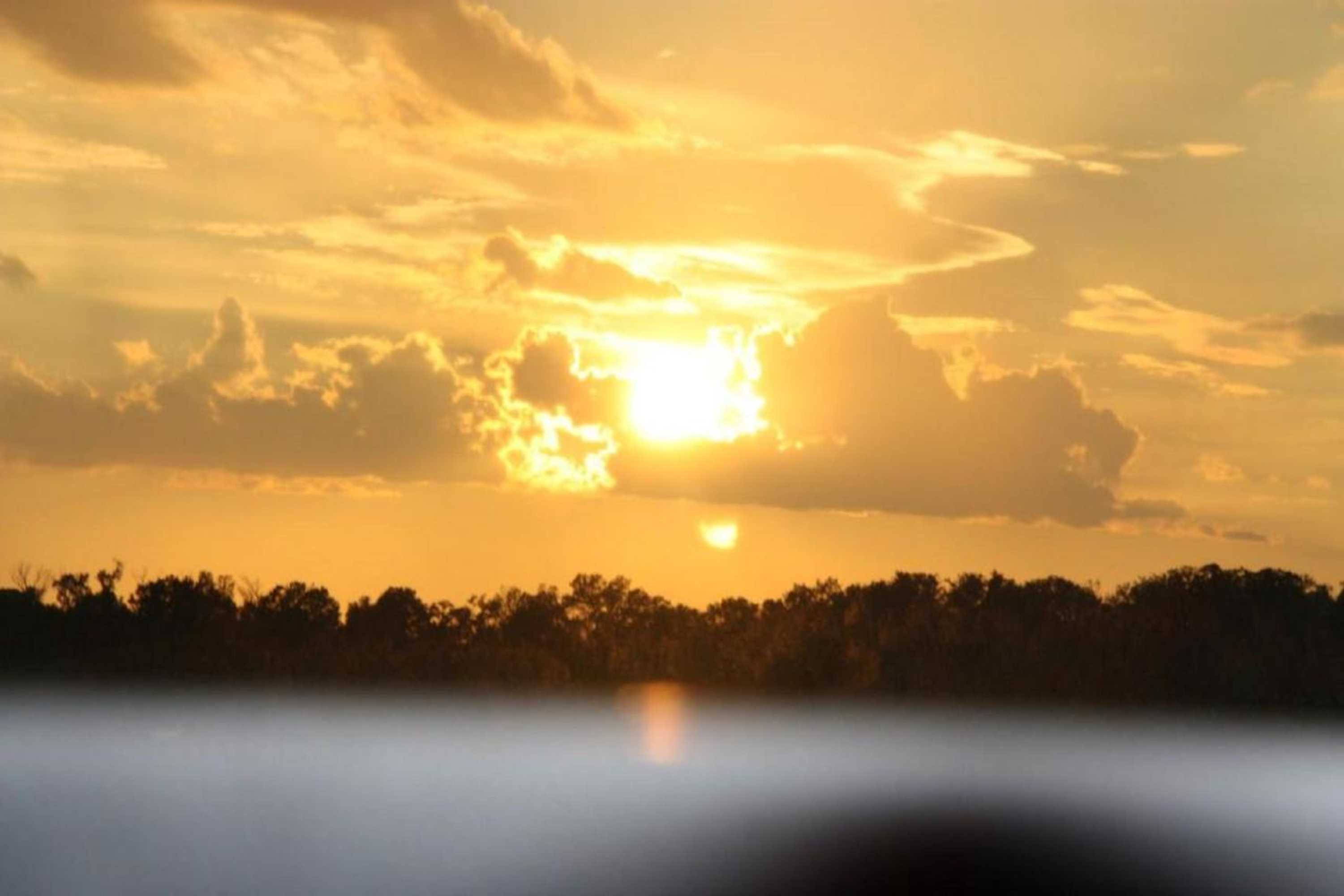 Gift card for Camping L'olivier