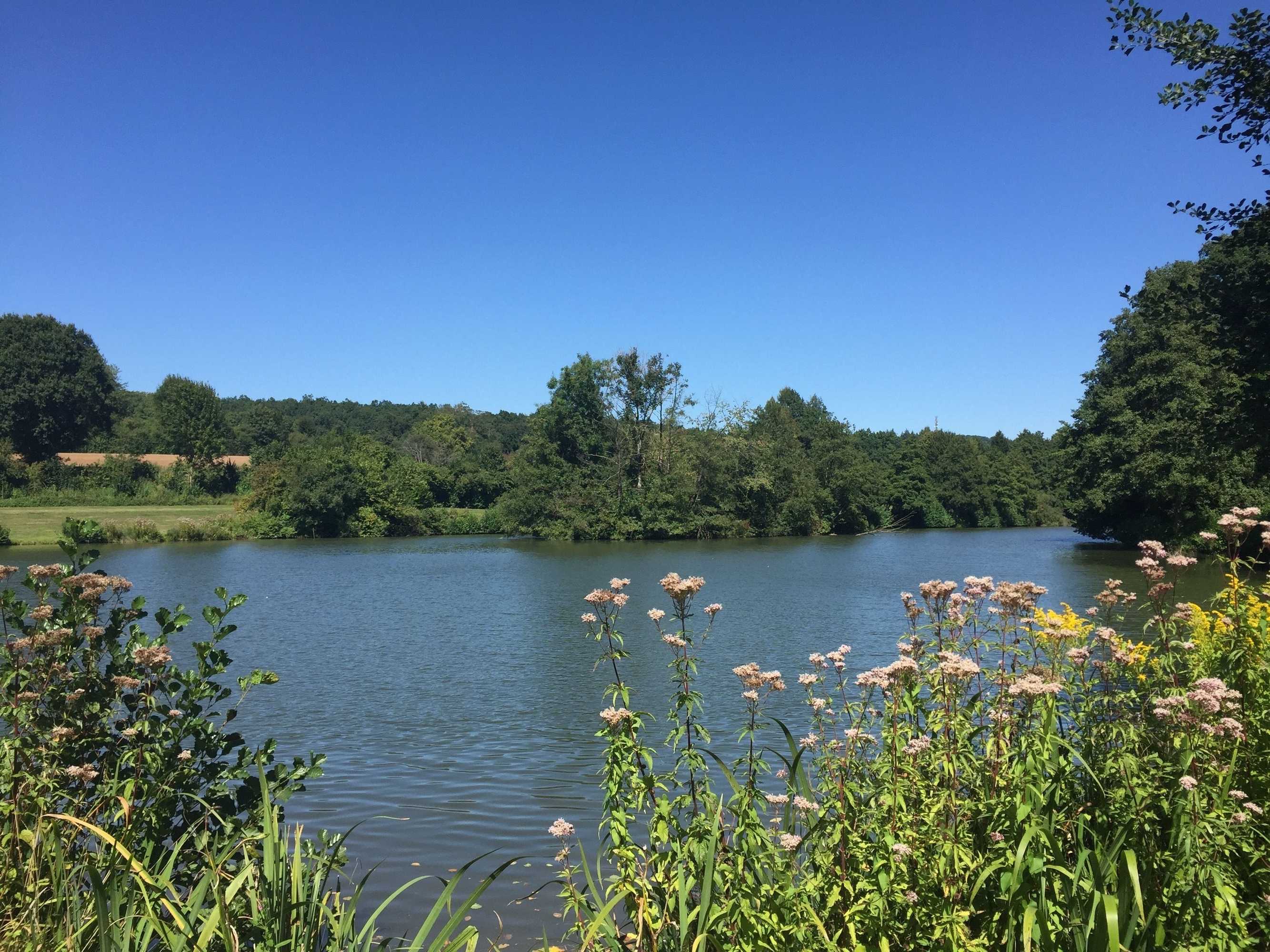 Gift card for Hotel - Restaurant Kreuzberghof Gift card for Hotel - Restaurant Kreuzberghof