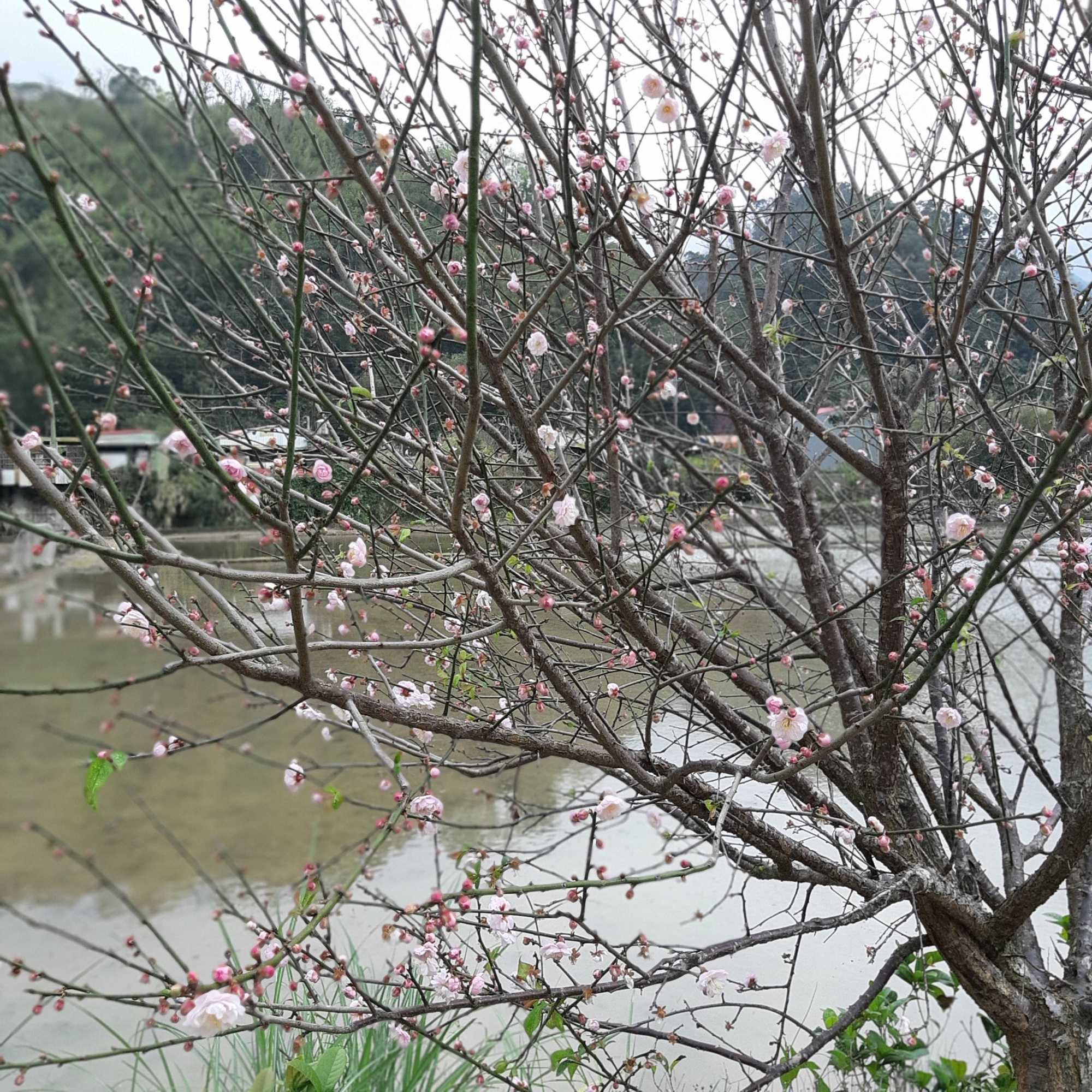 Gift card for Fu Chuan Garden Homestay