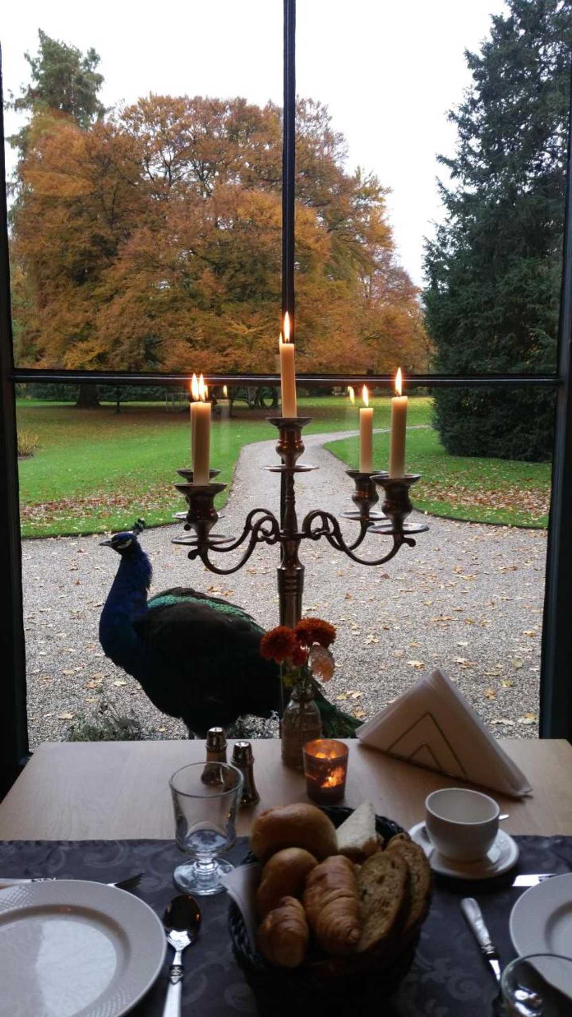 Gift card for B&b en Spa Landgoed Matanze