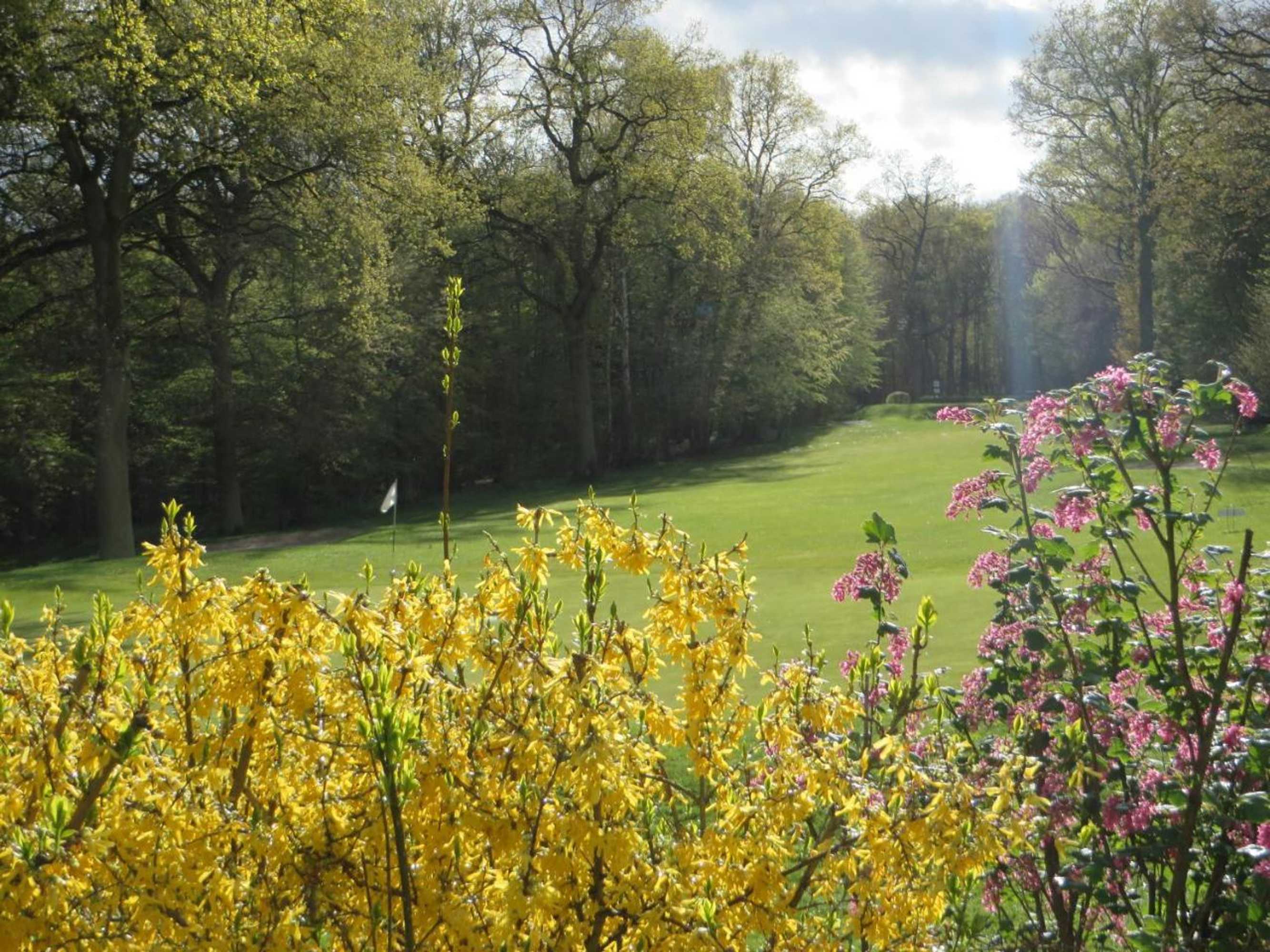 Gift card for Golf & Hôtel de Falnuée